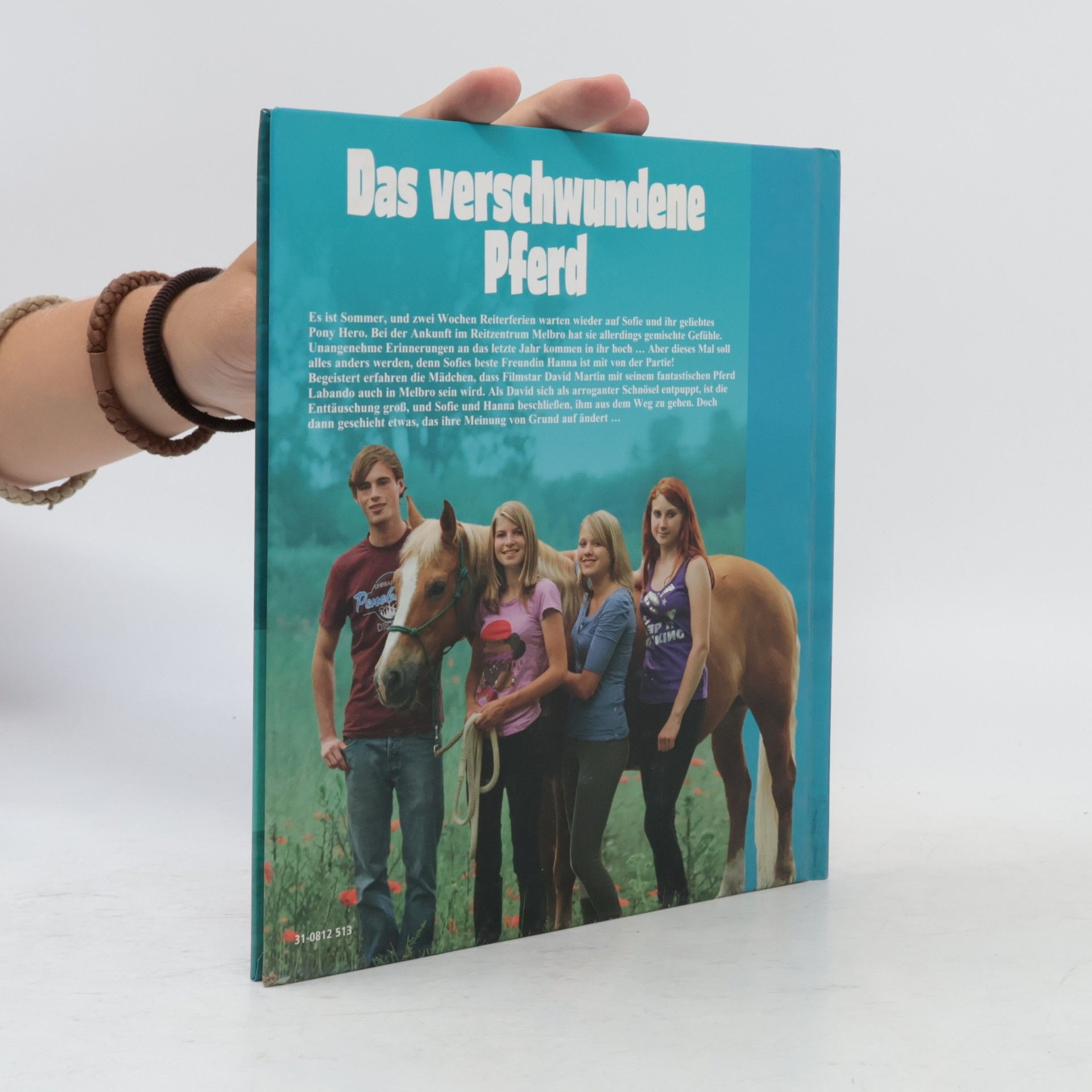Eli B. Toresen Das verschwundene Pferd