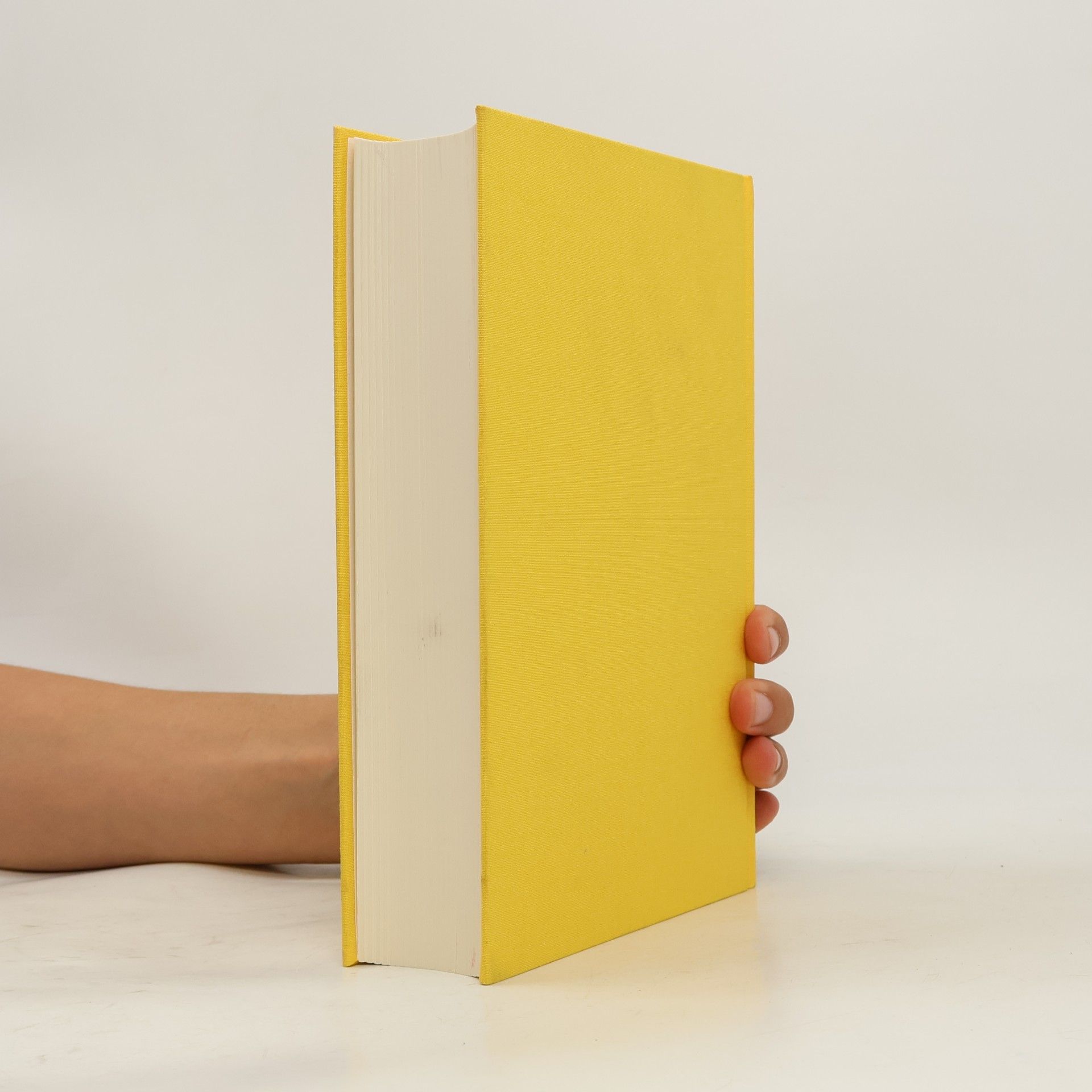 Ansgar Nünning Metzler-Lexikon Literatur- und Kulturtheorie