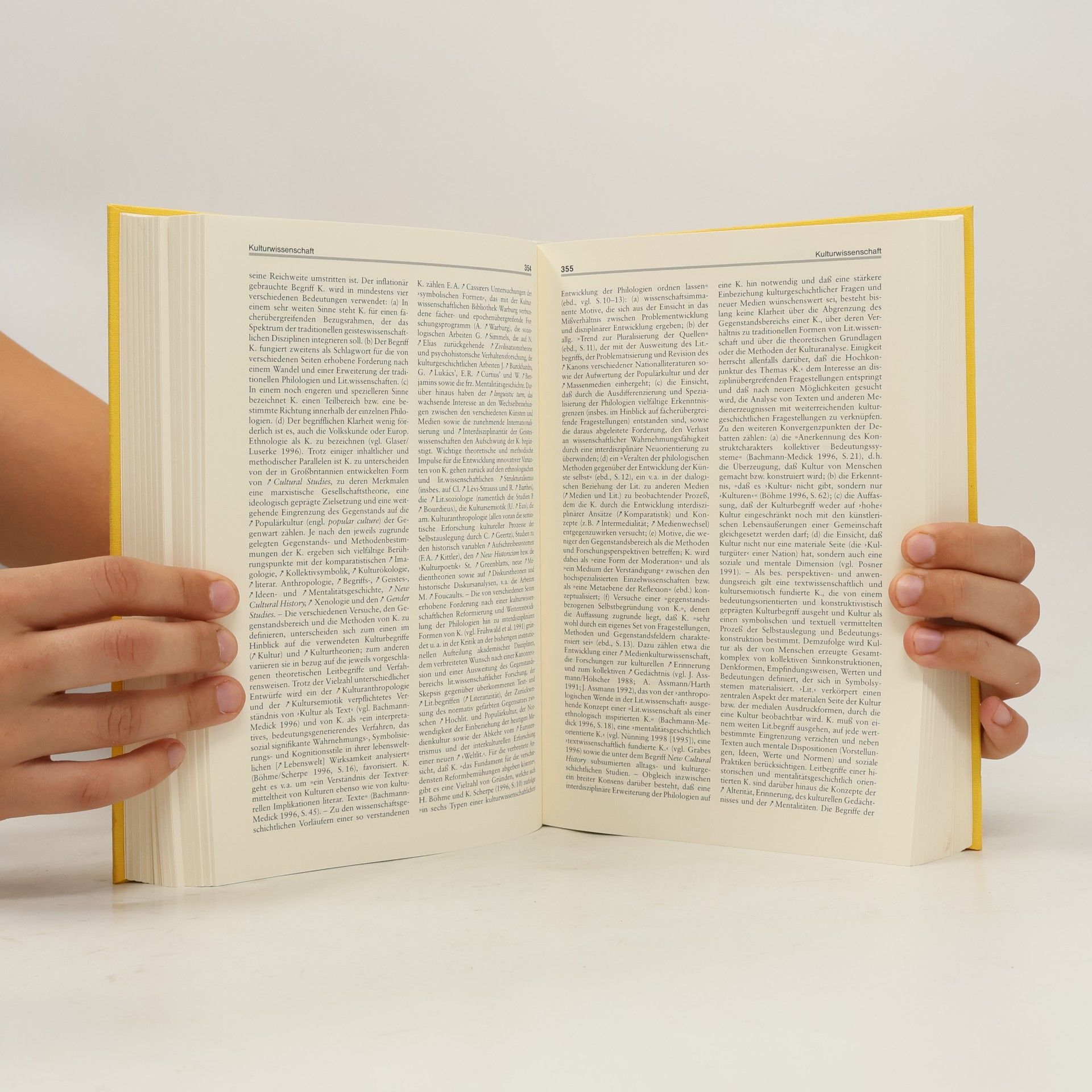 Ansgar Nünning Metzler-Lexikon Literatur- und Kulturtheorie