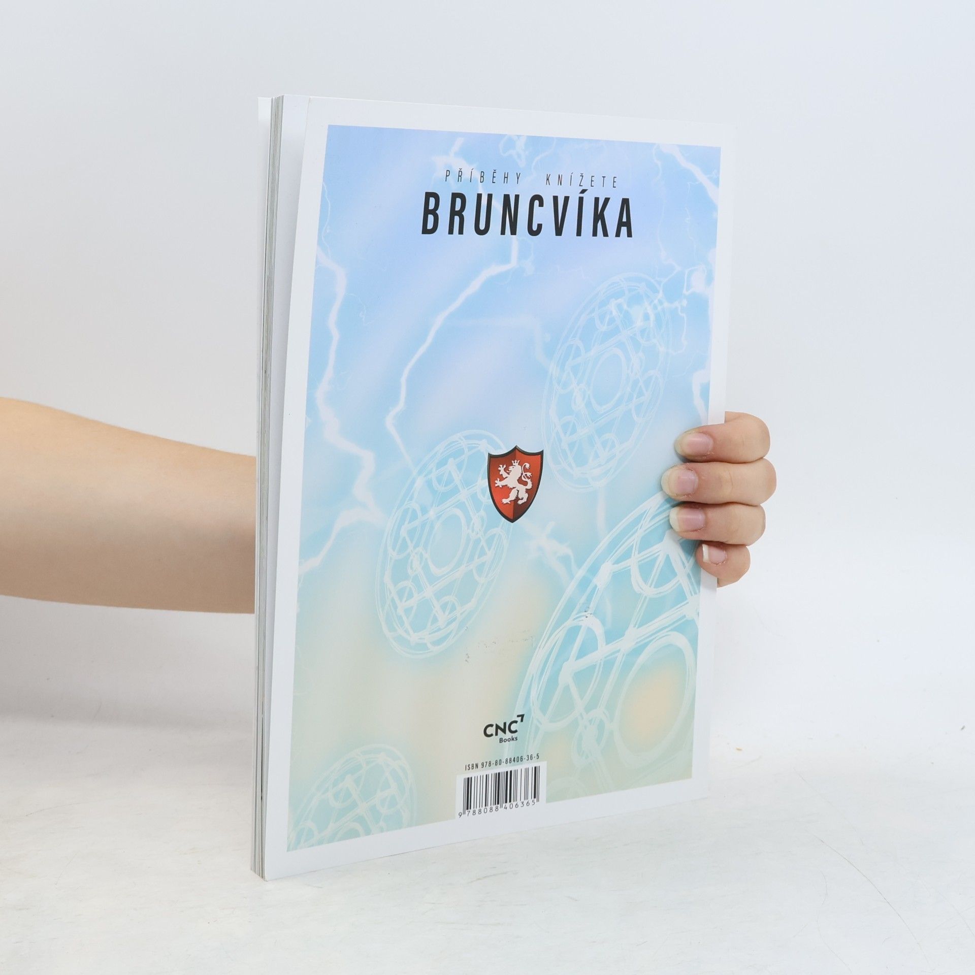 Vladimír Bican Příběhy knížete Brunclíka