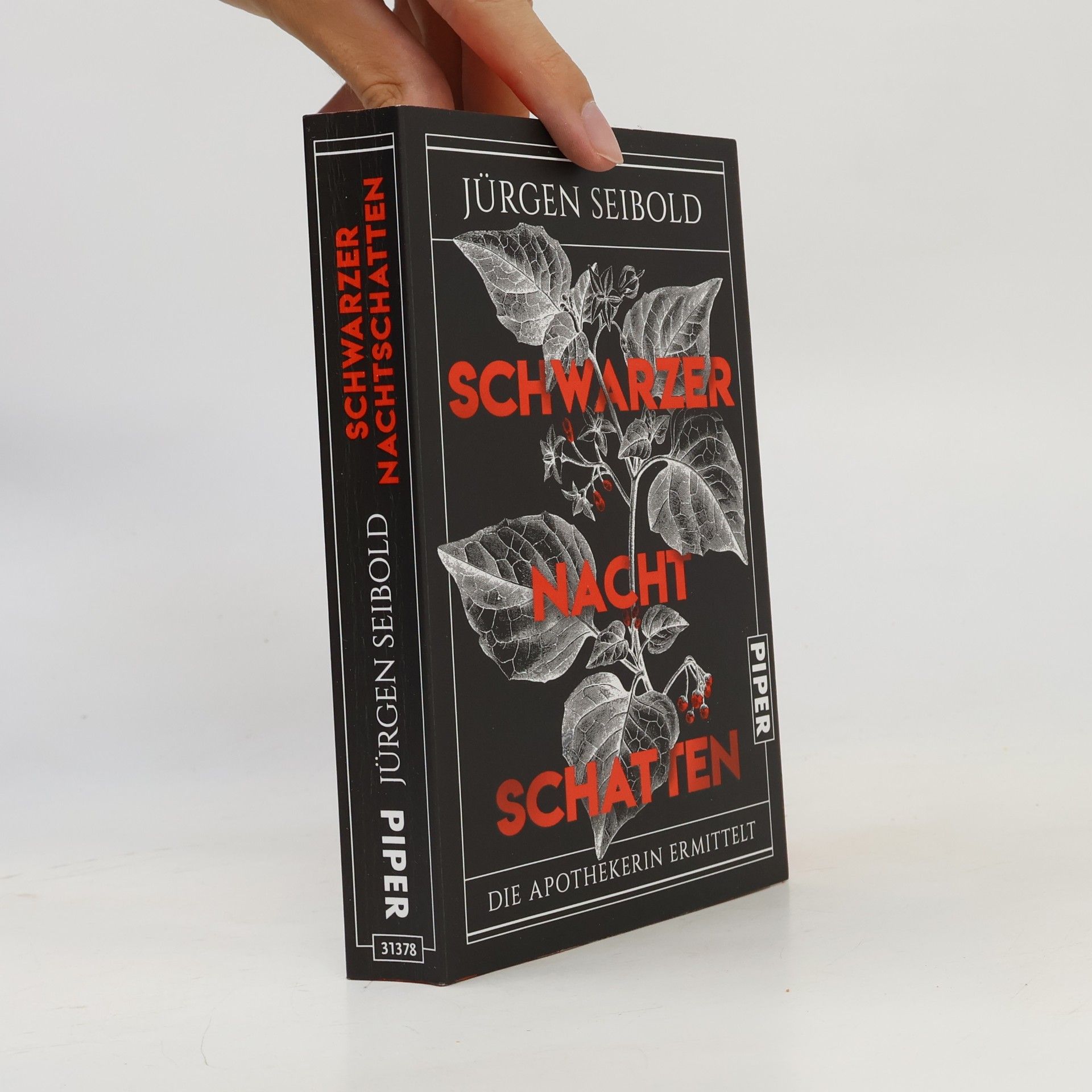 Jürgen Seibold Schwarzer Nachtschatten