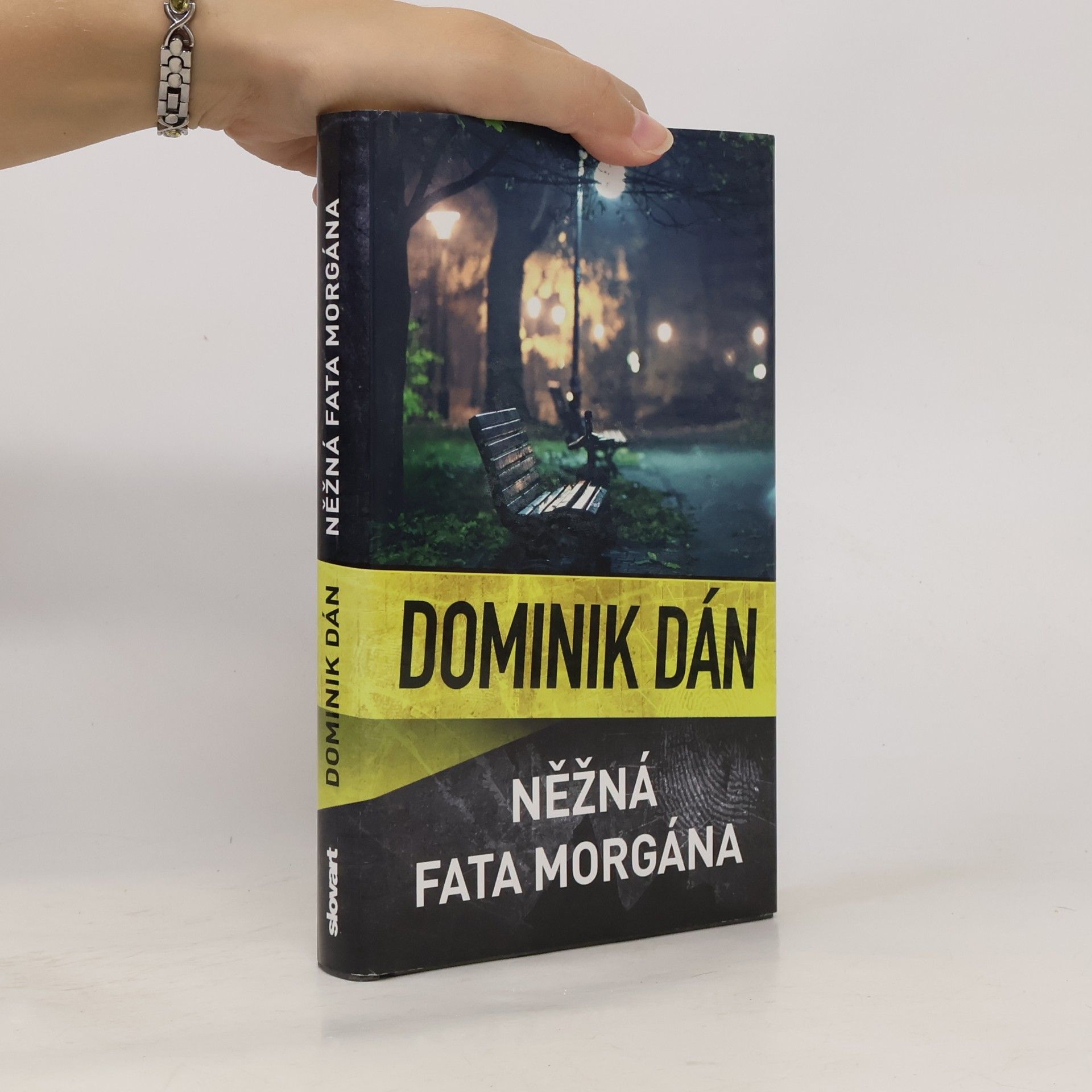Dominik Dán Něžná fata morgána