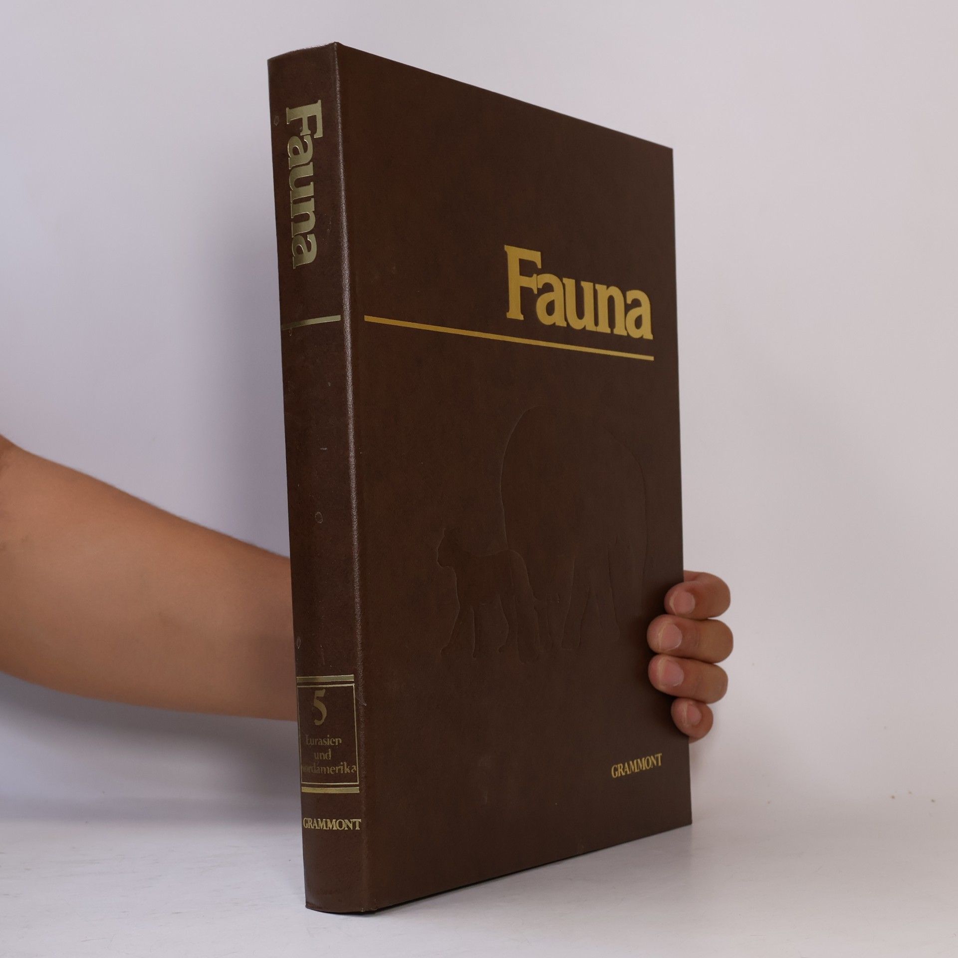 C. Morillo Fauna 5