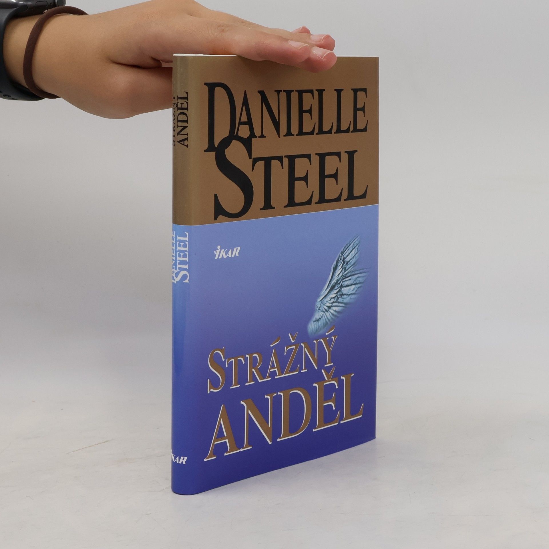Danielle Steel Strážný anděl