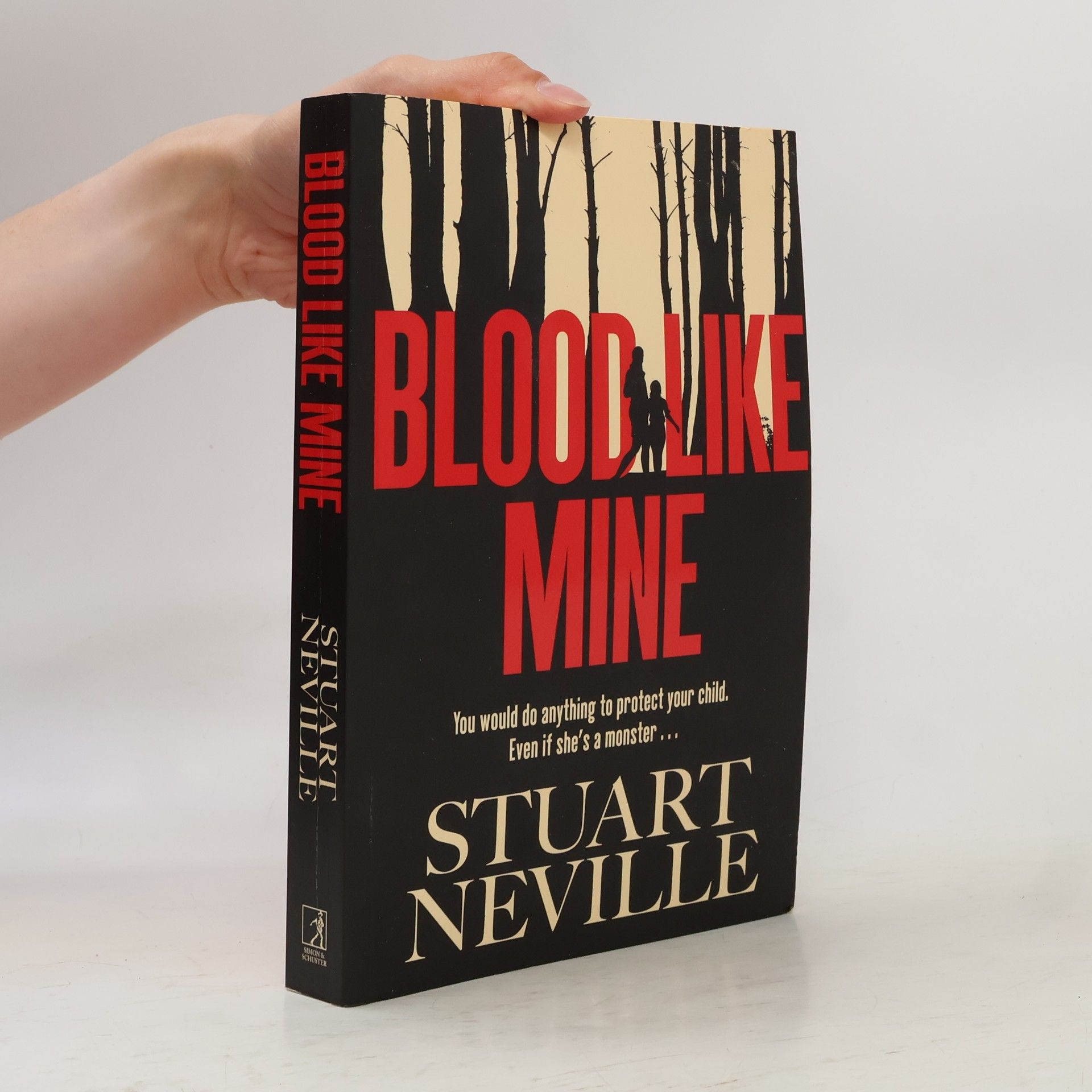 Stuart Neville Blood Like Mine