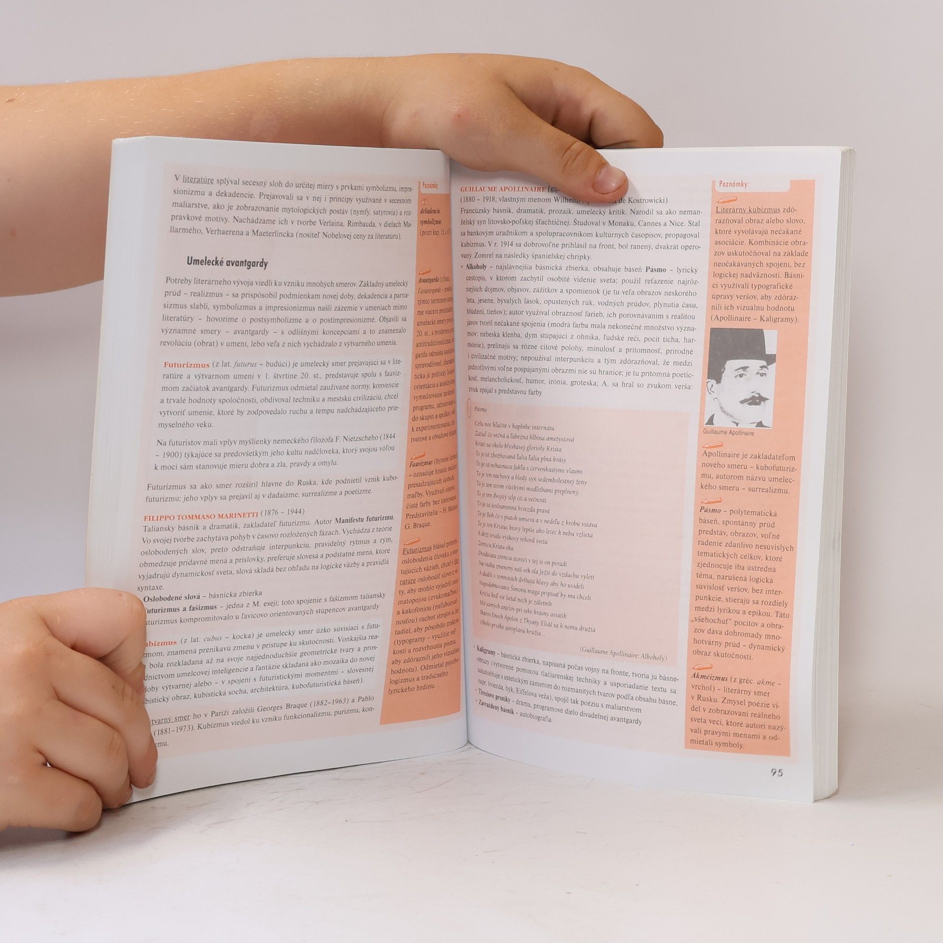 Autorenkollektiv Zmaturuj! z literatúry 1
