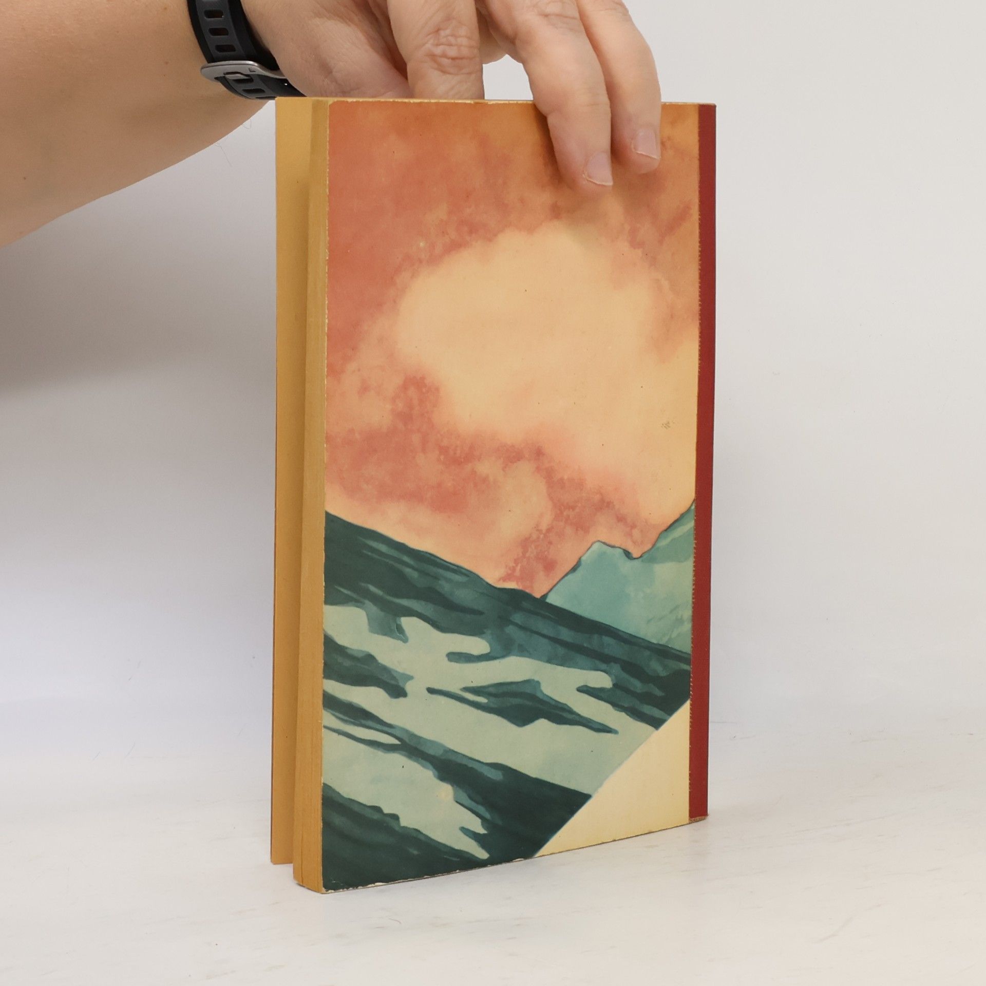 Carl Haensel Der Kampf ums Matterhorn