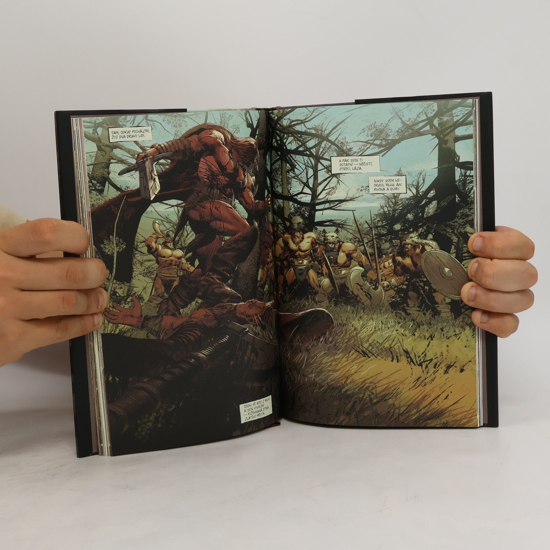 Jeff Lemire Nezkrotný Berserkr