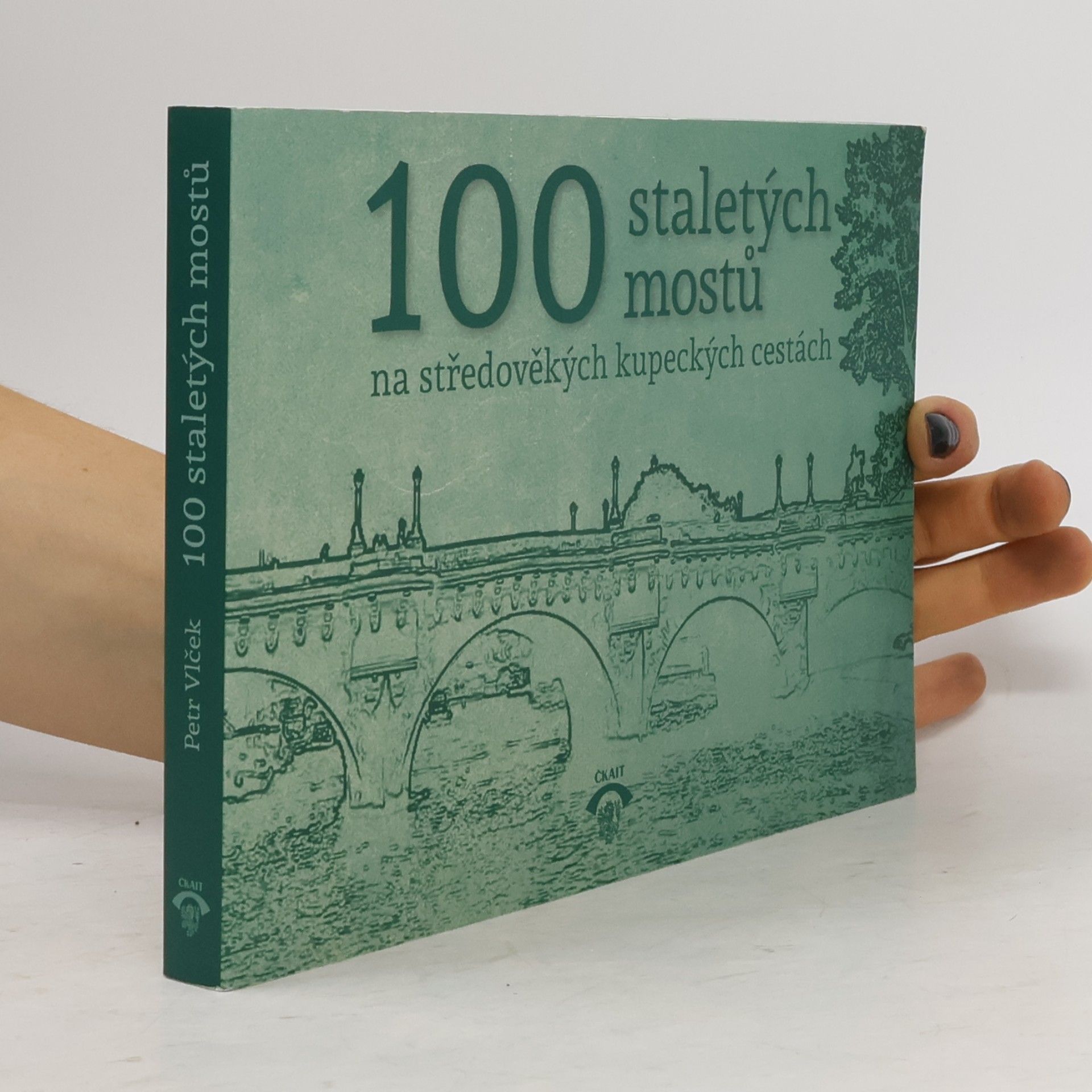 Petr Vlček 100 staletých mostů na středověkých kupeckých cestách