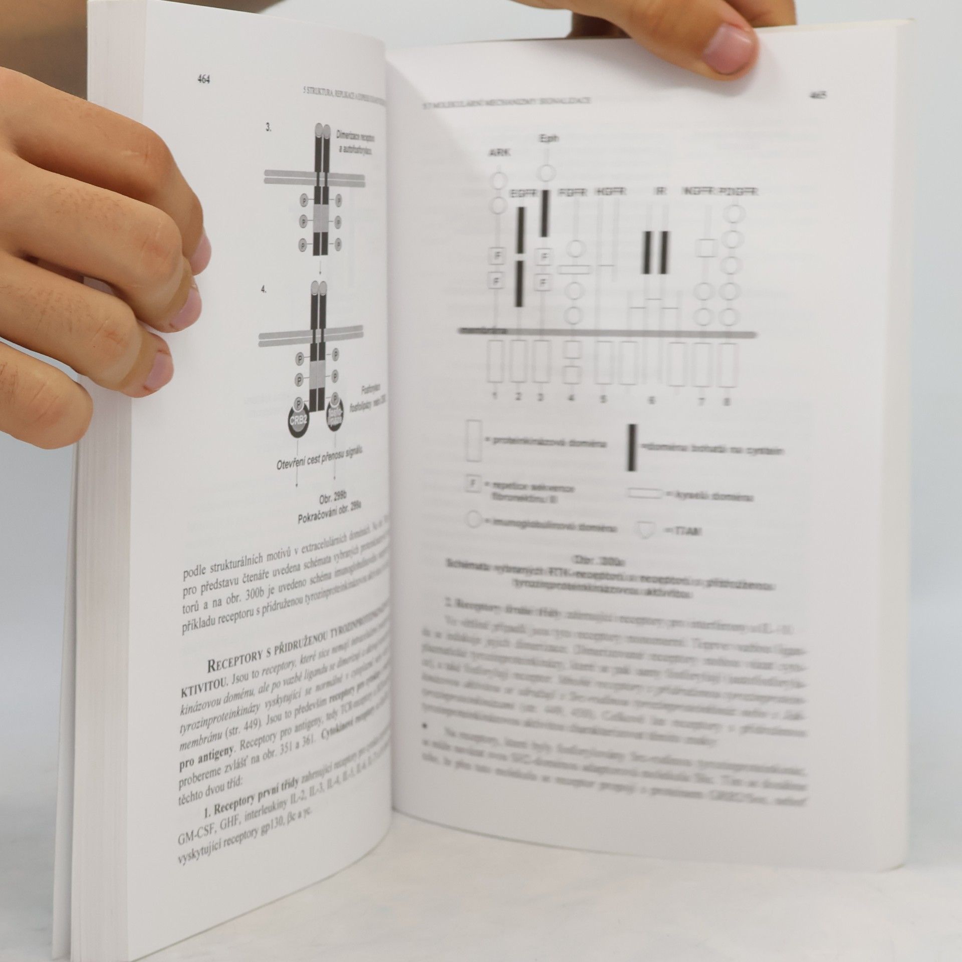 Stanislav Rosypal Úvod do molekulární biologie. II. díl