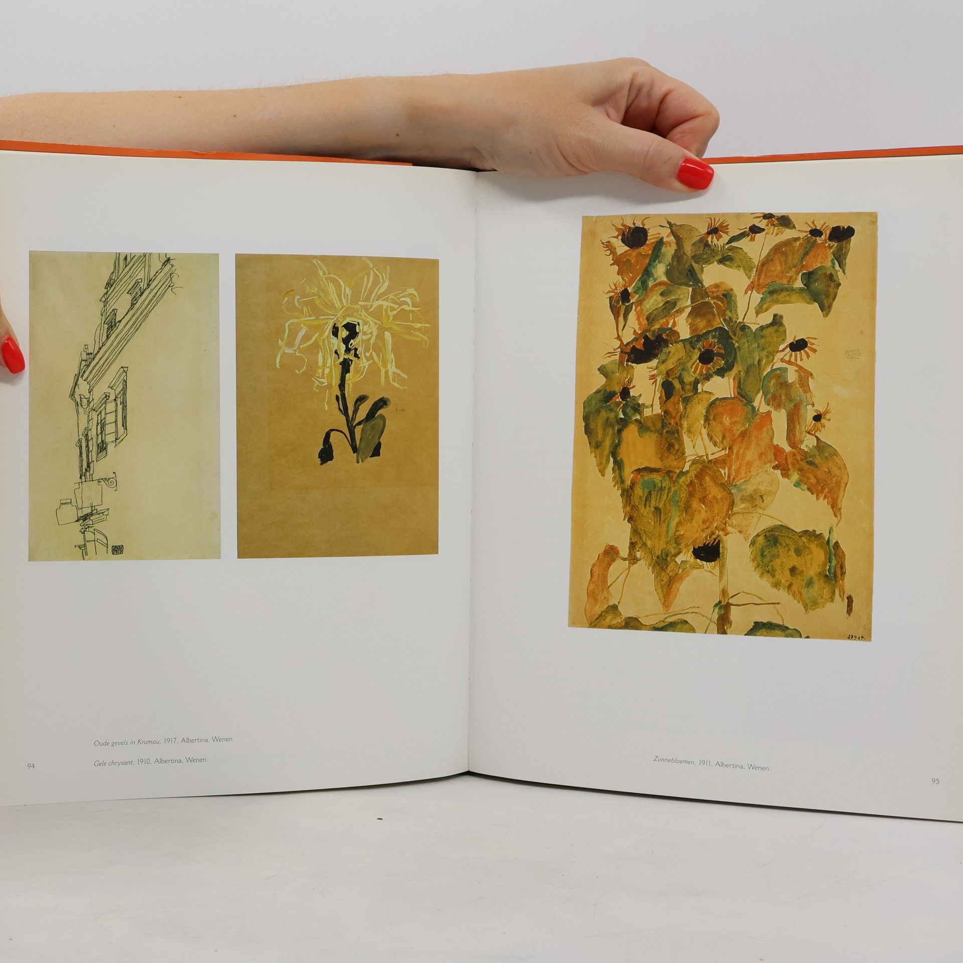Jane Kallir Egon Schiele