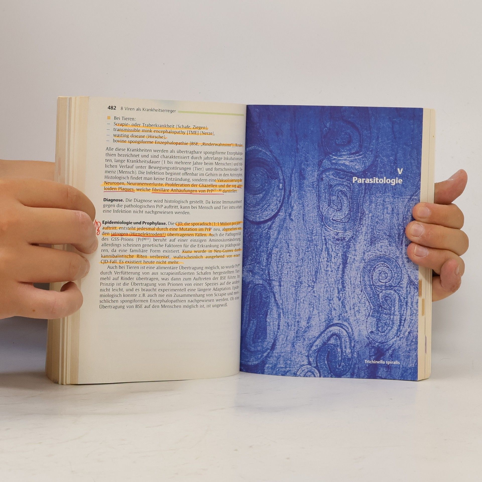 Fritz H. Kayser Medizinische Mikrobiologie