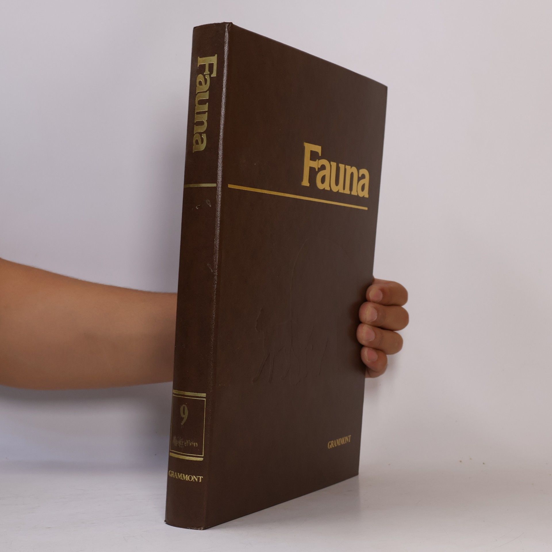 Autorenkollektiv Fauna. Wie wilde Tiere wirklich leben. Band 9. Australien und Inseln
