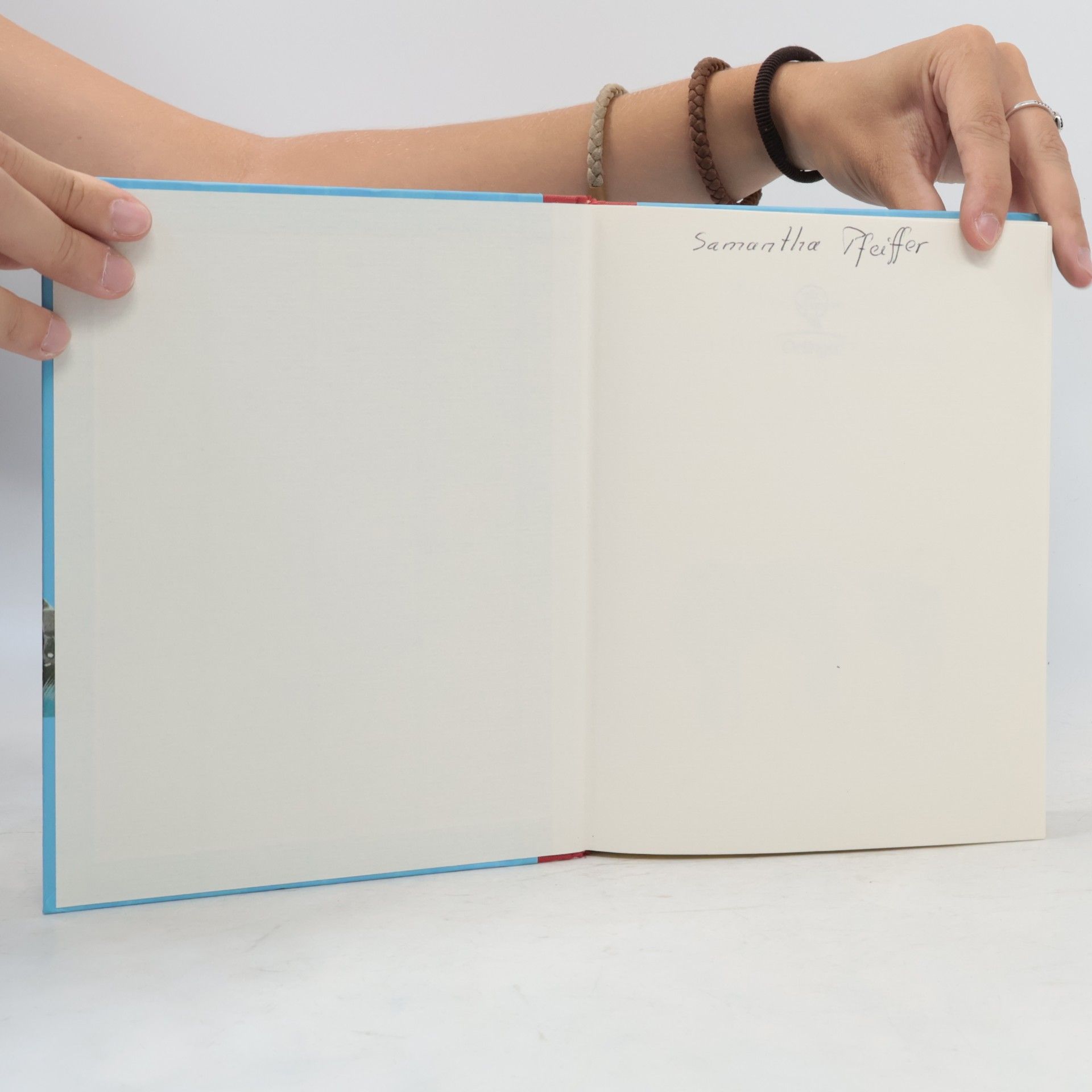 Astrid Lindgren Die Brüder Löwenherz
