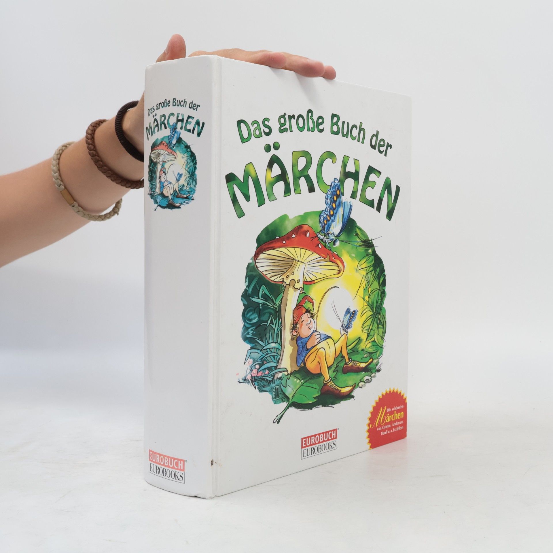 Collectif d'auteurs Das große Buch der Märchen