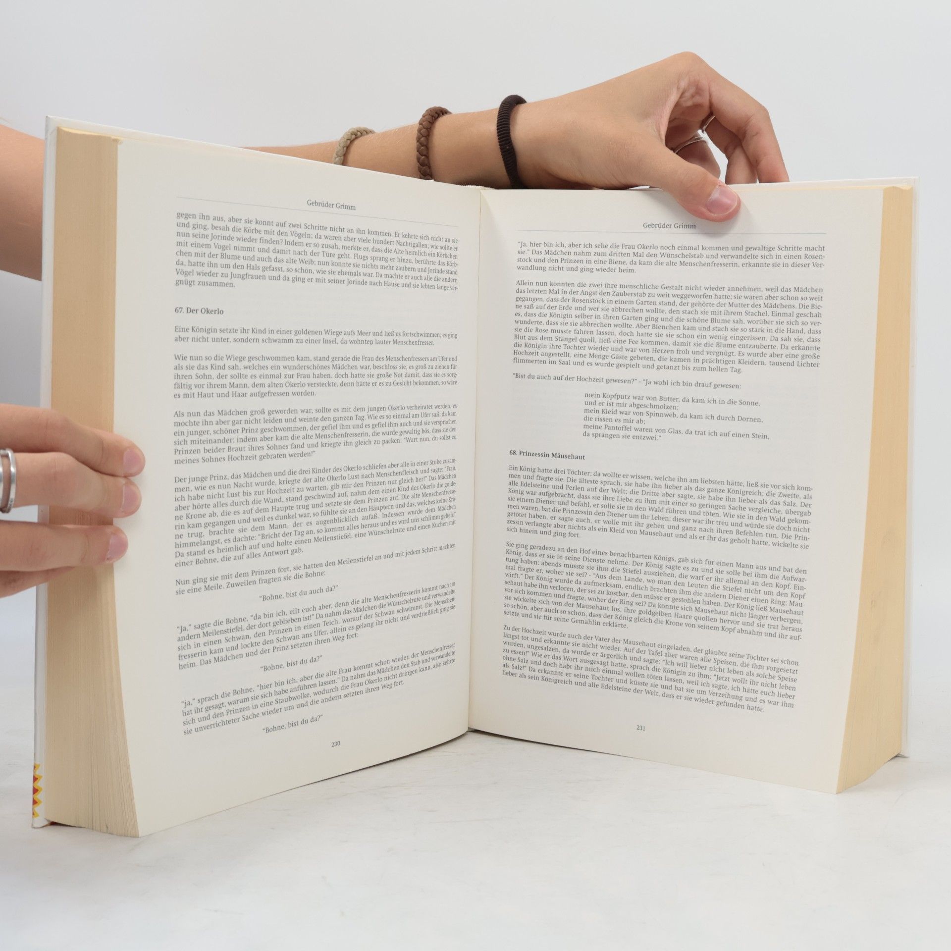 Autorenkollektiv Das große Buch der Märchen