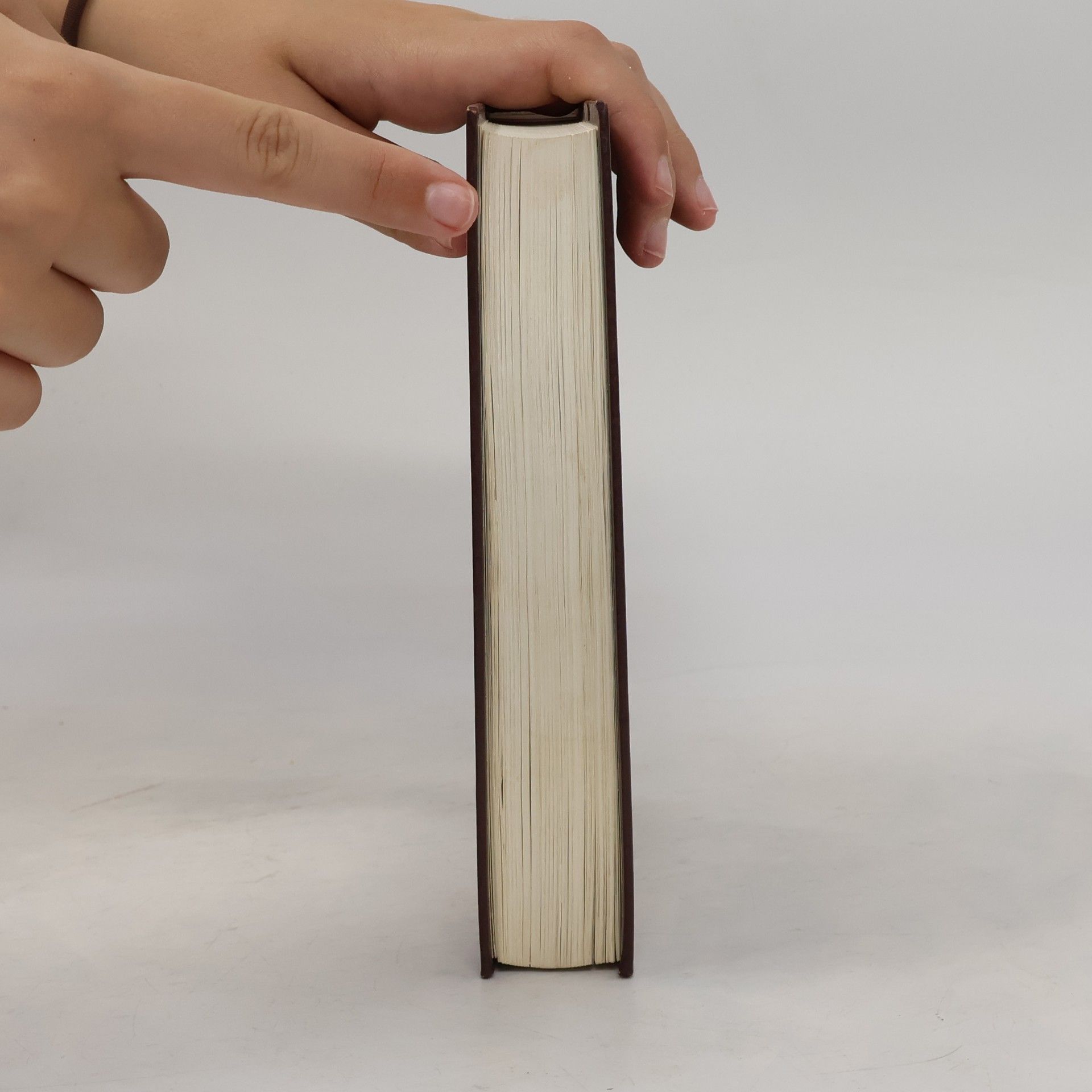 Autorenkollektiv Bible. Písmo svaté Starého i Nového zákona. Ekumenický překlad