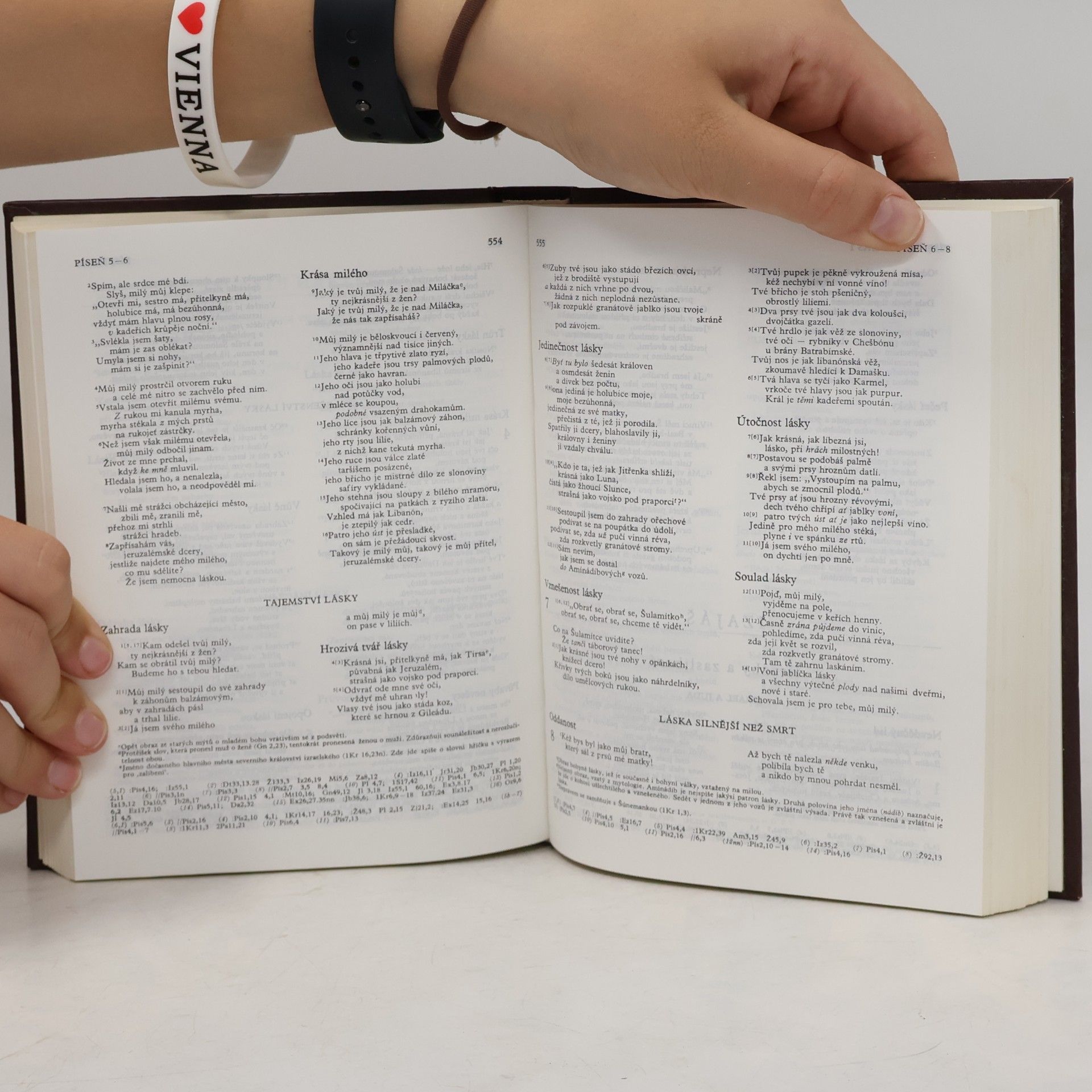 Autorenkollektiv Bible. Písmo svaté Starého i Nového zákona. Ekumenický překlad