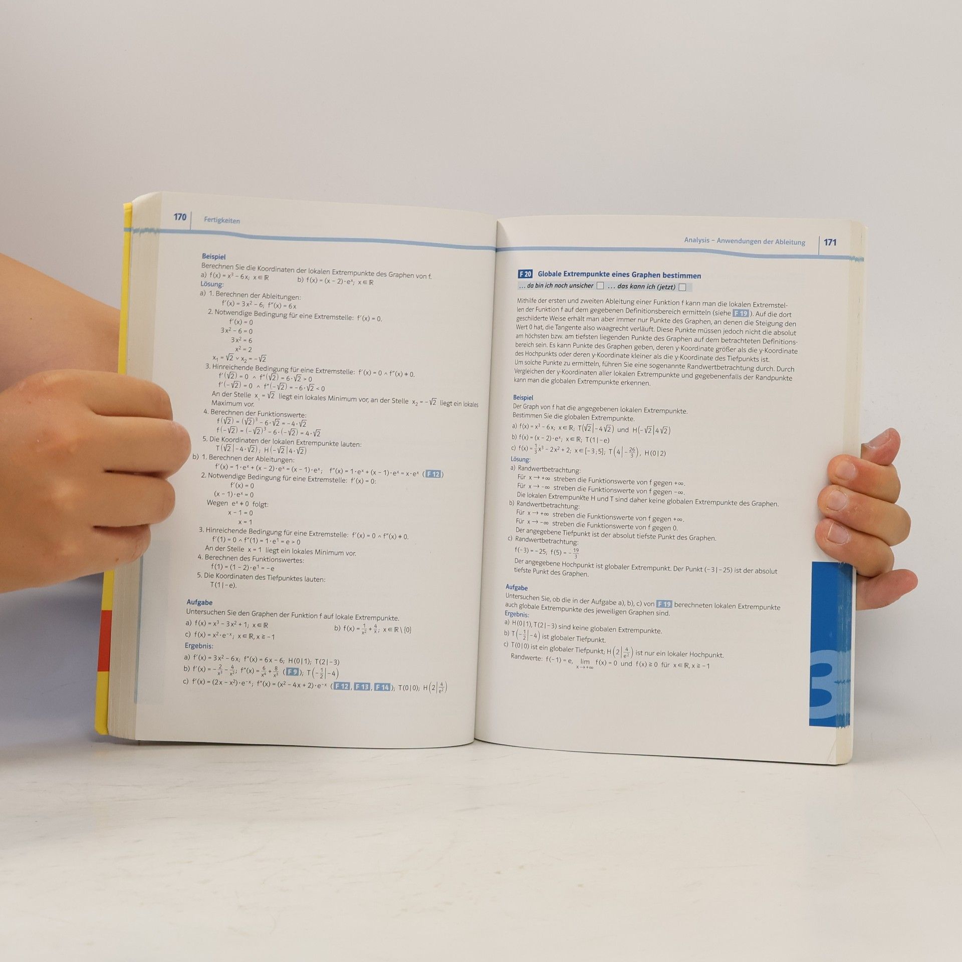 Kolektív autorov Lambacher Schweizer: Mein Abi-Coach Mathematik 2020. Ausgabe Nordrhein-Westfalen - Leistungskurs. Arbeitsbuch Klassen 11/12 oder 12/13