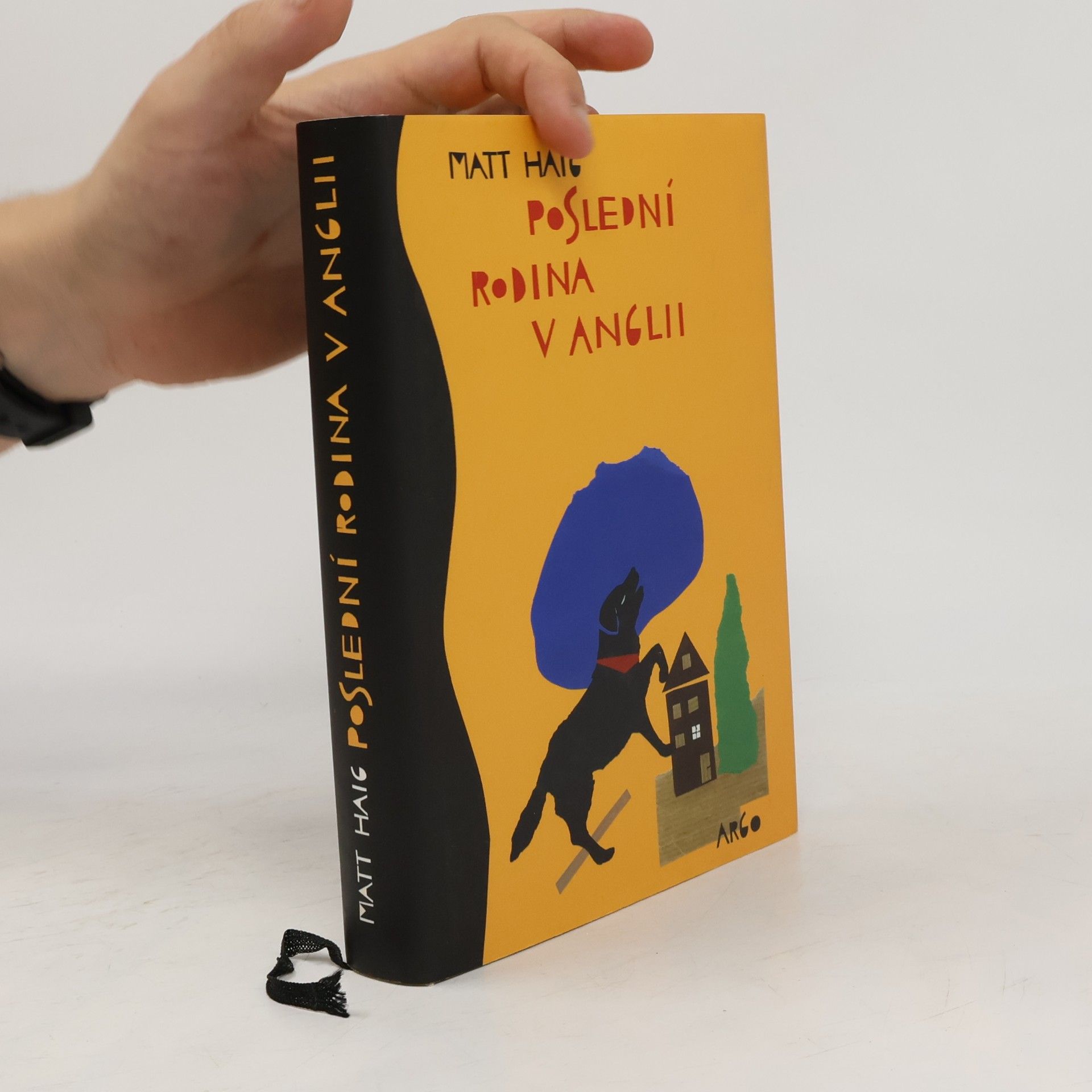 Matt Haig Poslední rodina v Anglii