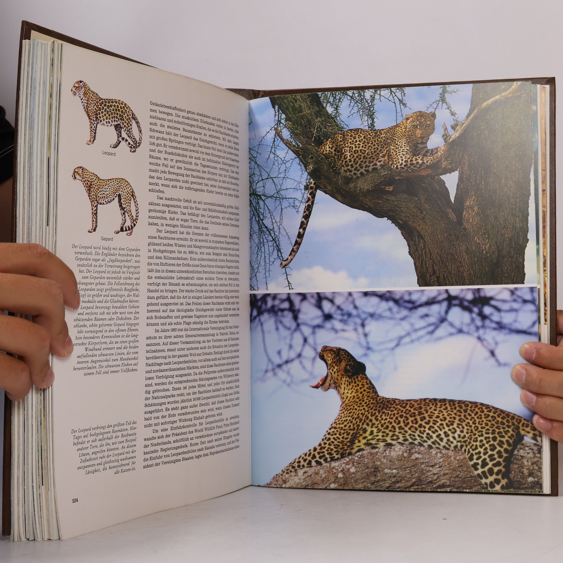 Félix Rodríguez de la Fuente Fauna