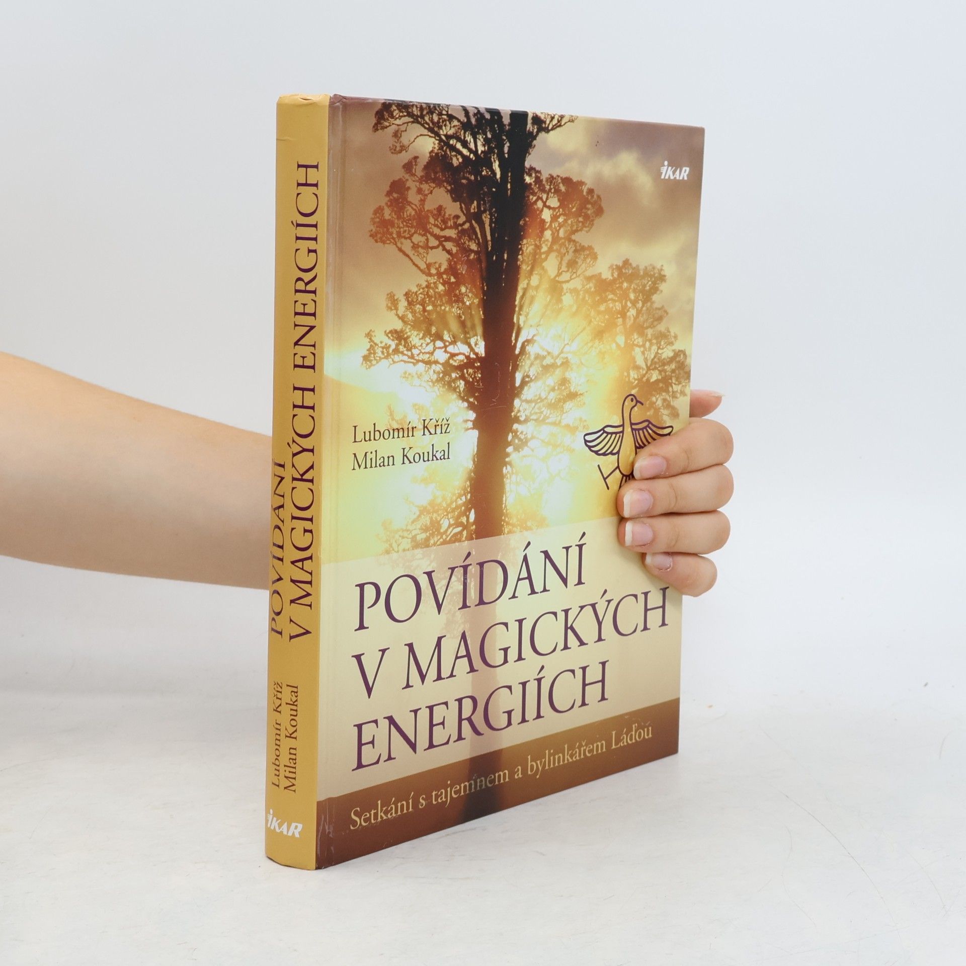 Lubomír Kříž Povídání v magických energiích