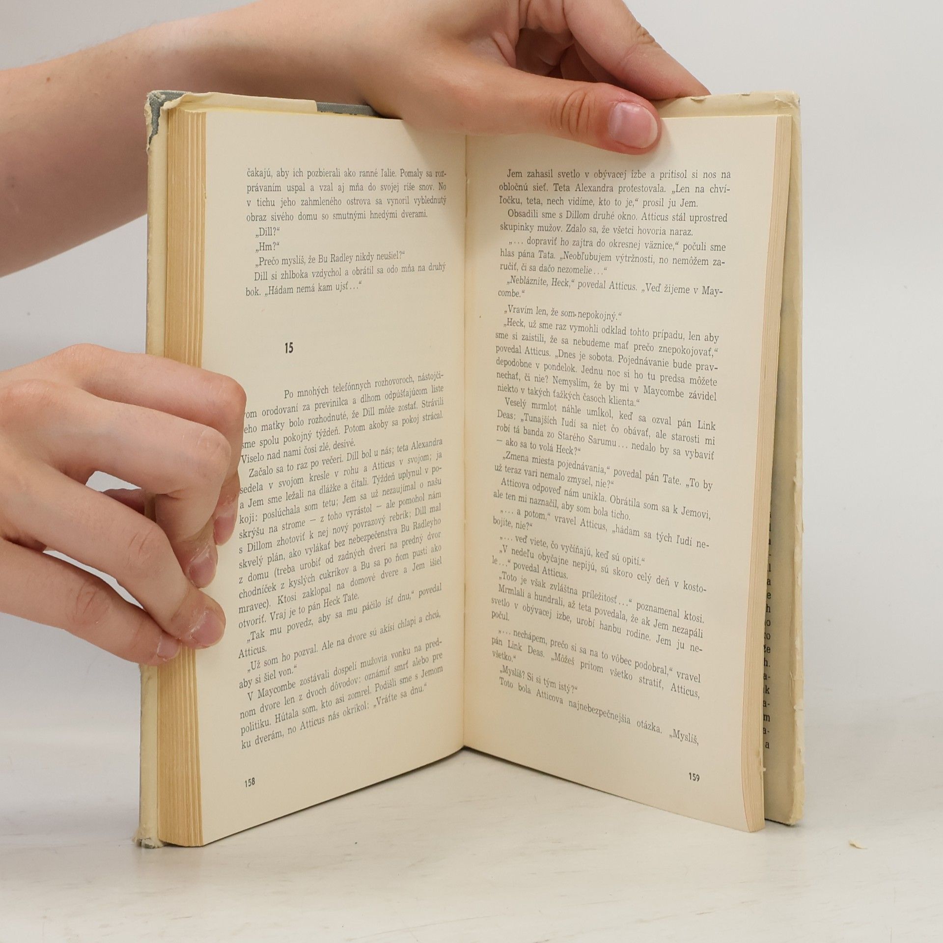 Harper Lee Nezabijajte vtáčika