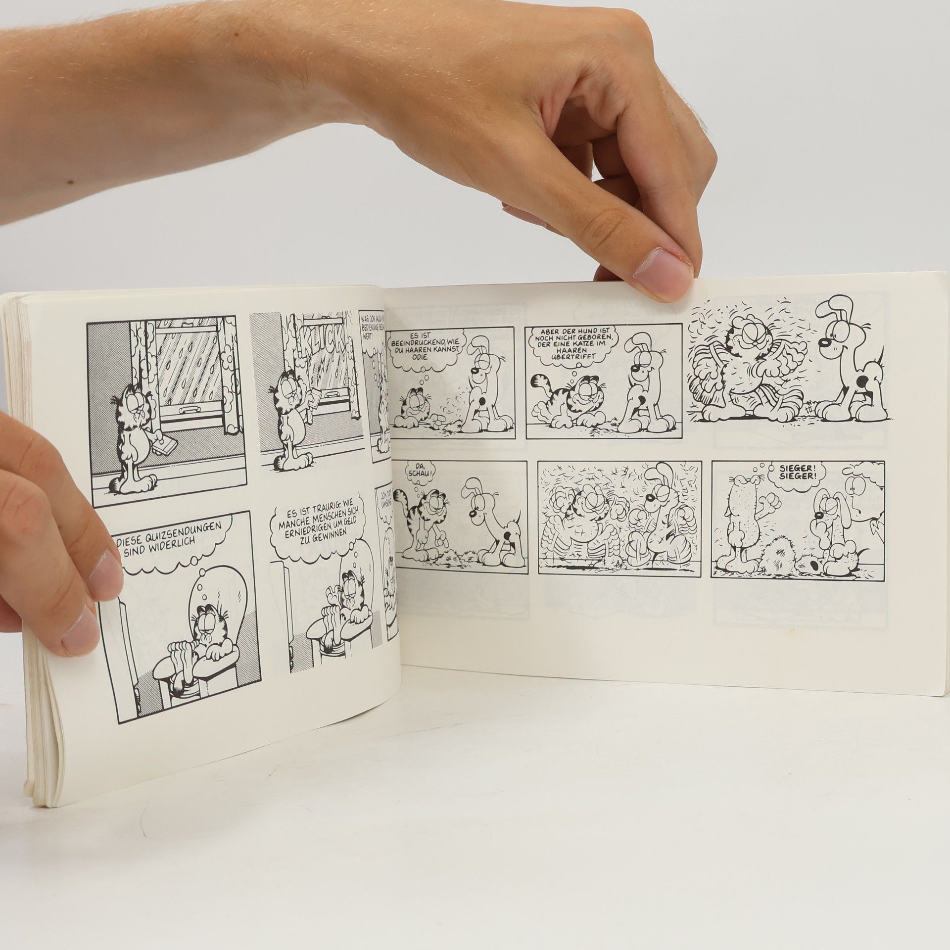 Jim Davis Garfield 12