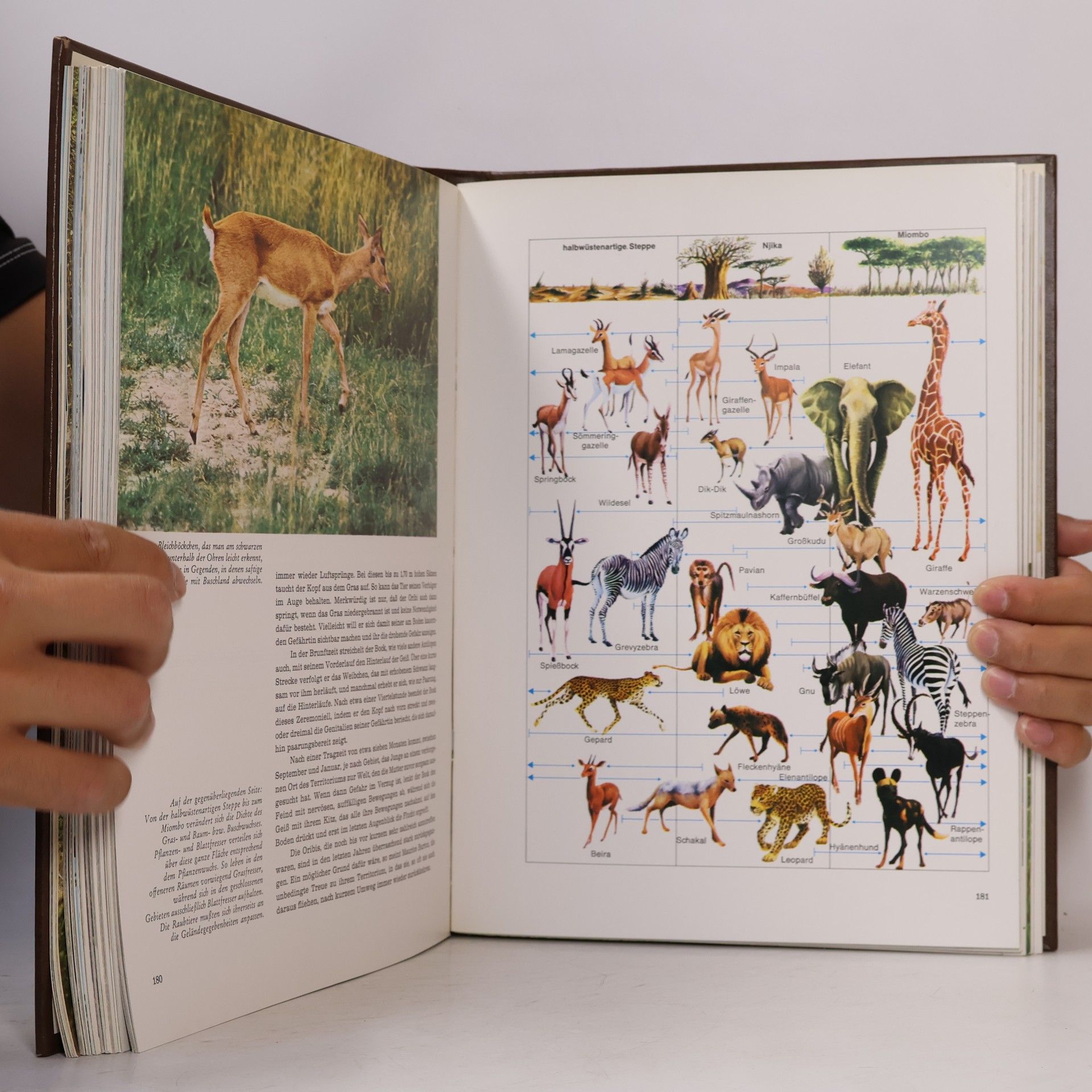 Félix Rodríguez de la Fuente Fauna 2
