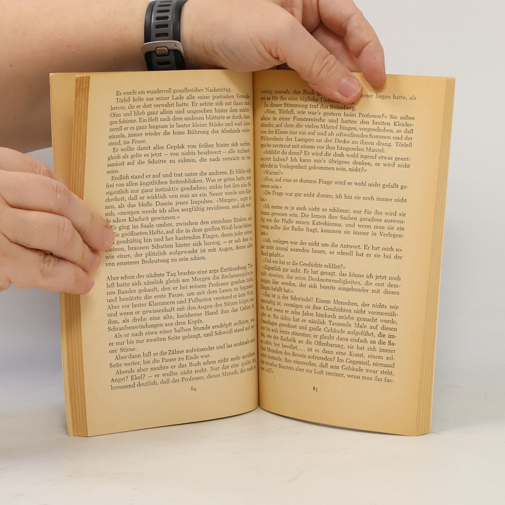 Robert Musil Die Verwirrungen des Zöglings Törleß