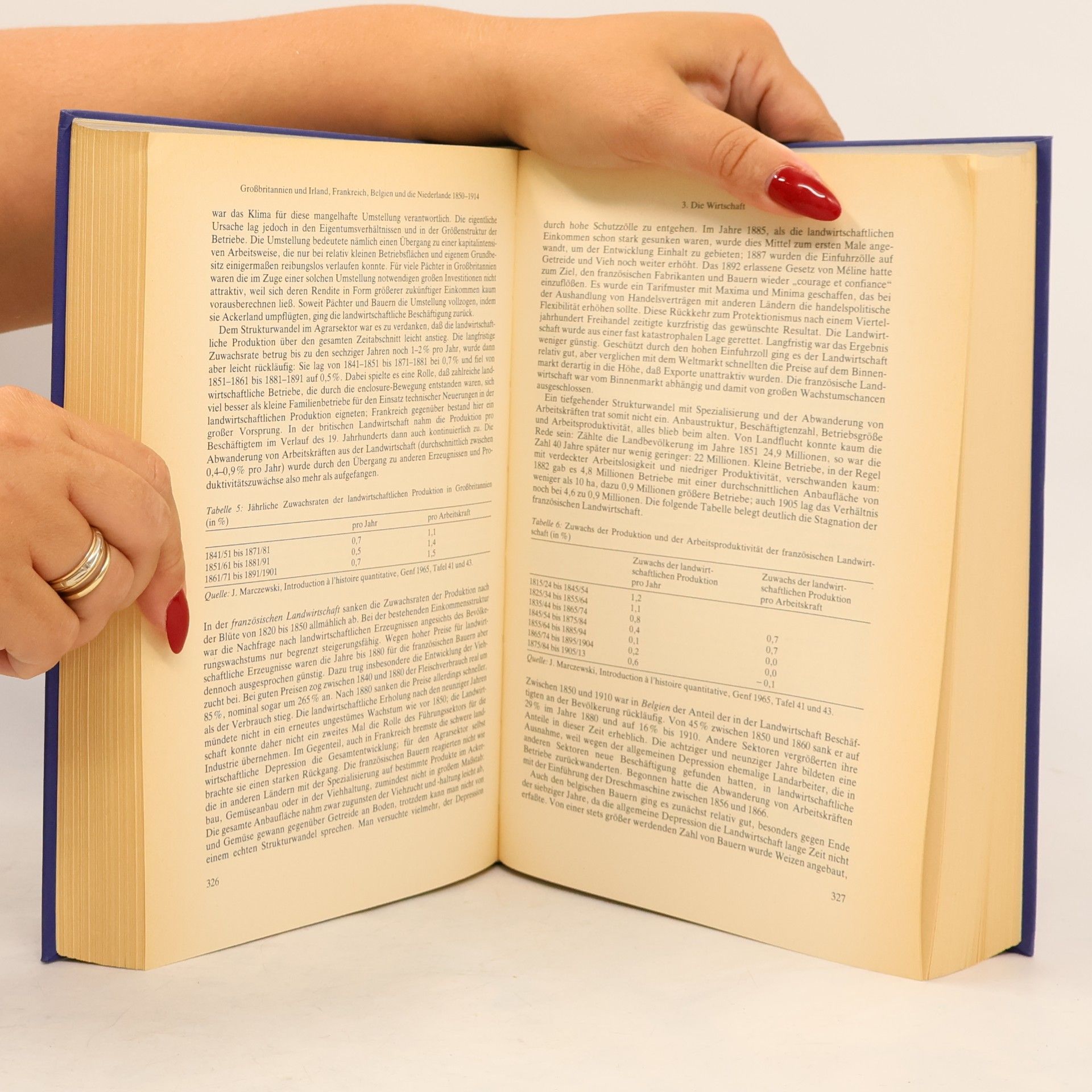Autorenkollektiv Handbuch der europäischen Wirtschafts- und Sozialgeschichte 5