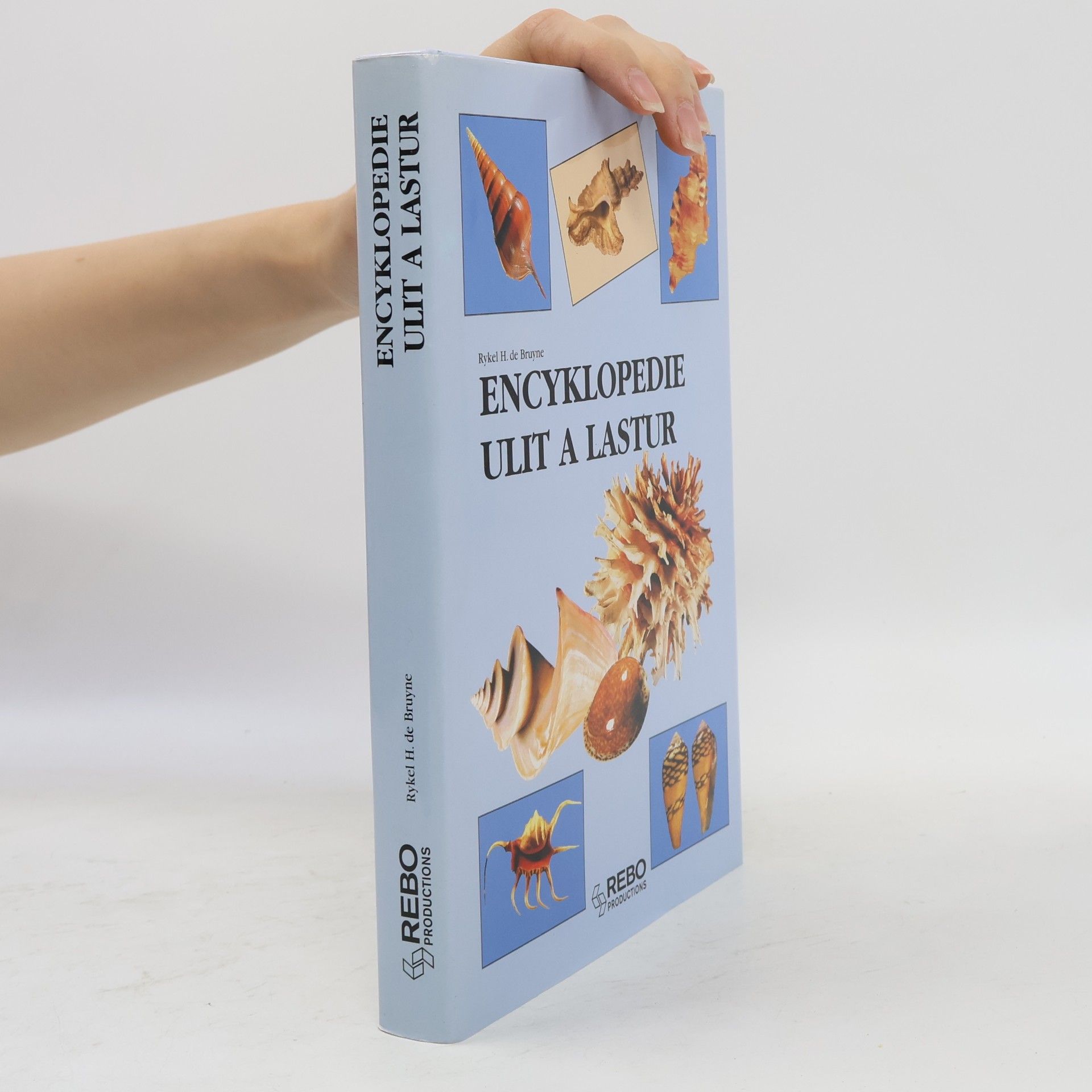 R. H. de Rykel H. Bruyne Encyklopedie ulit a lastur