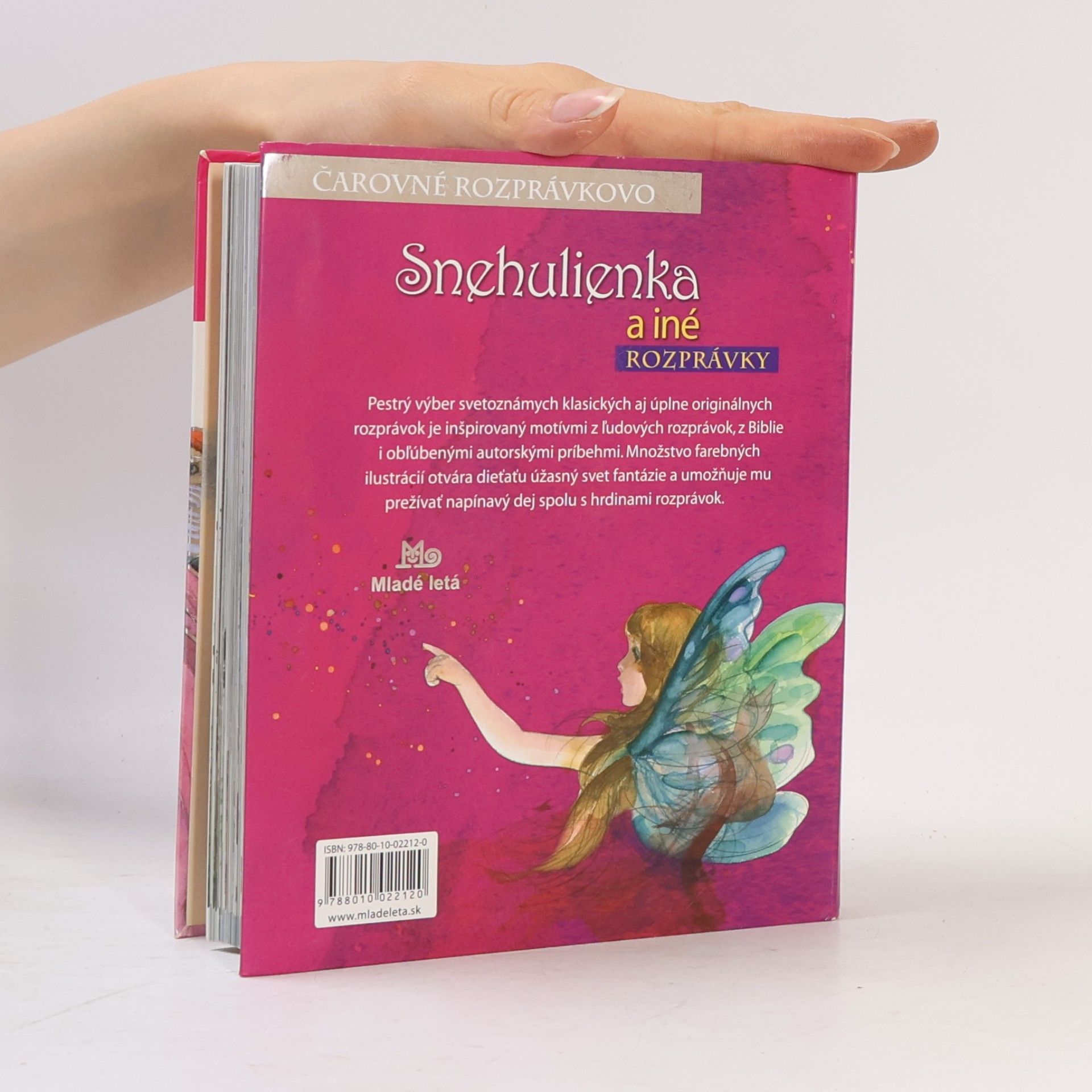 Autorenkollektiv Snehulienka a iné rozprávky