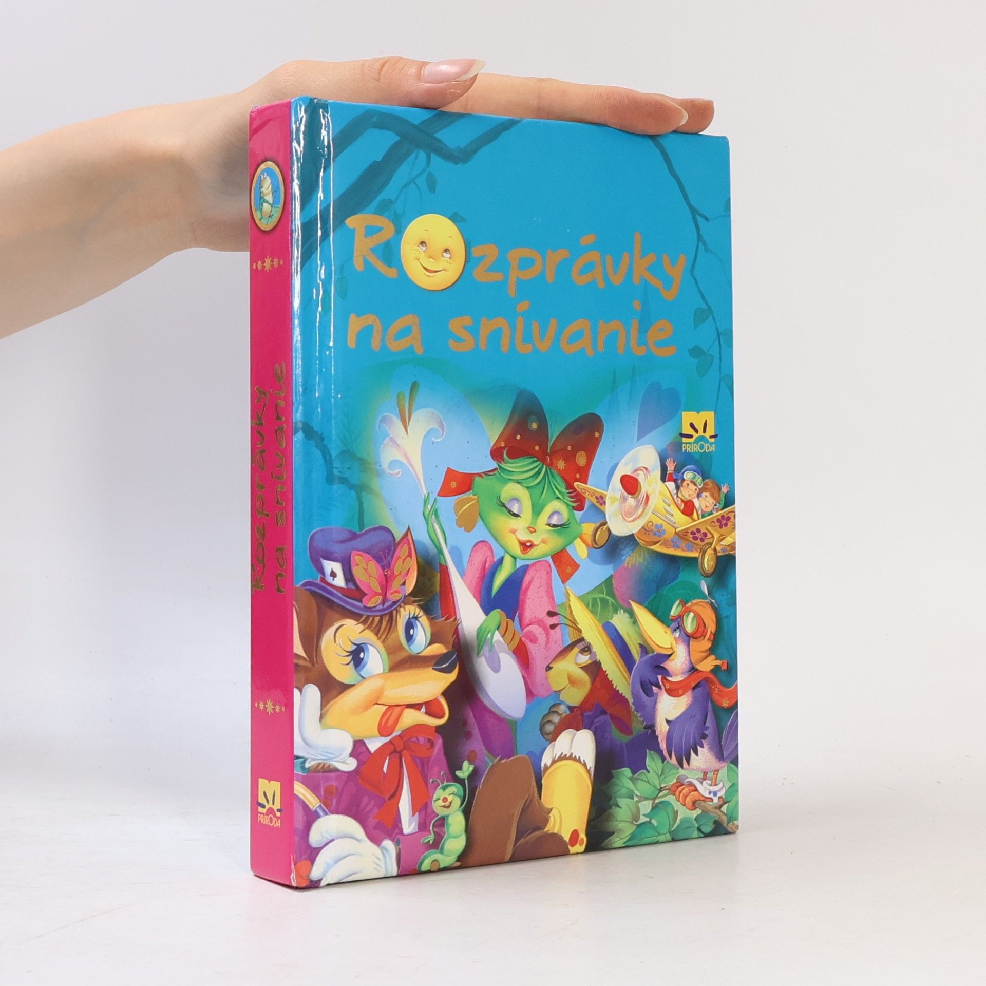 Autorenkollektiv Rozprávky na snívanie