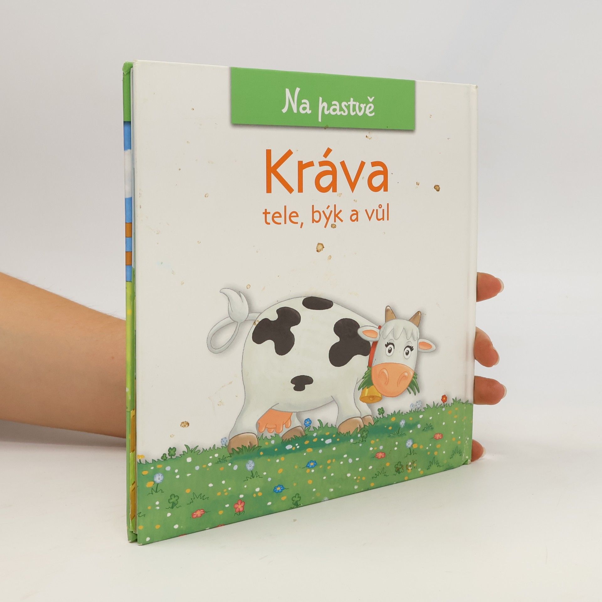 Christine Serbource Kráva, tele, býk a vůl