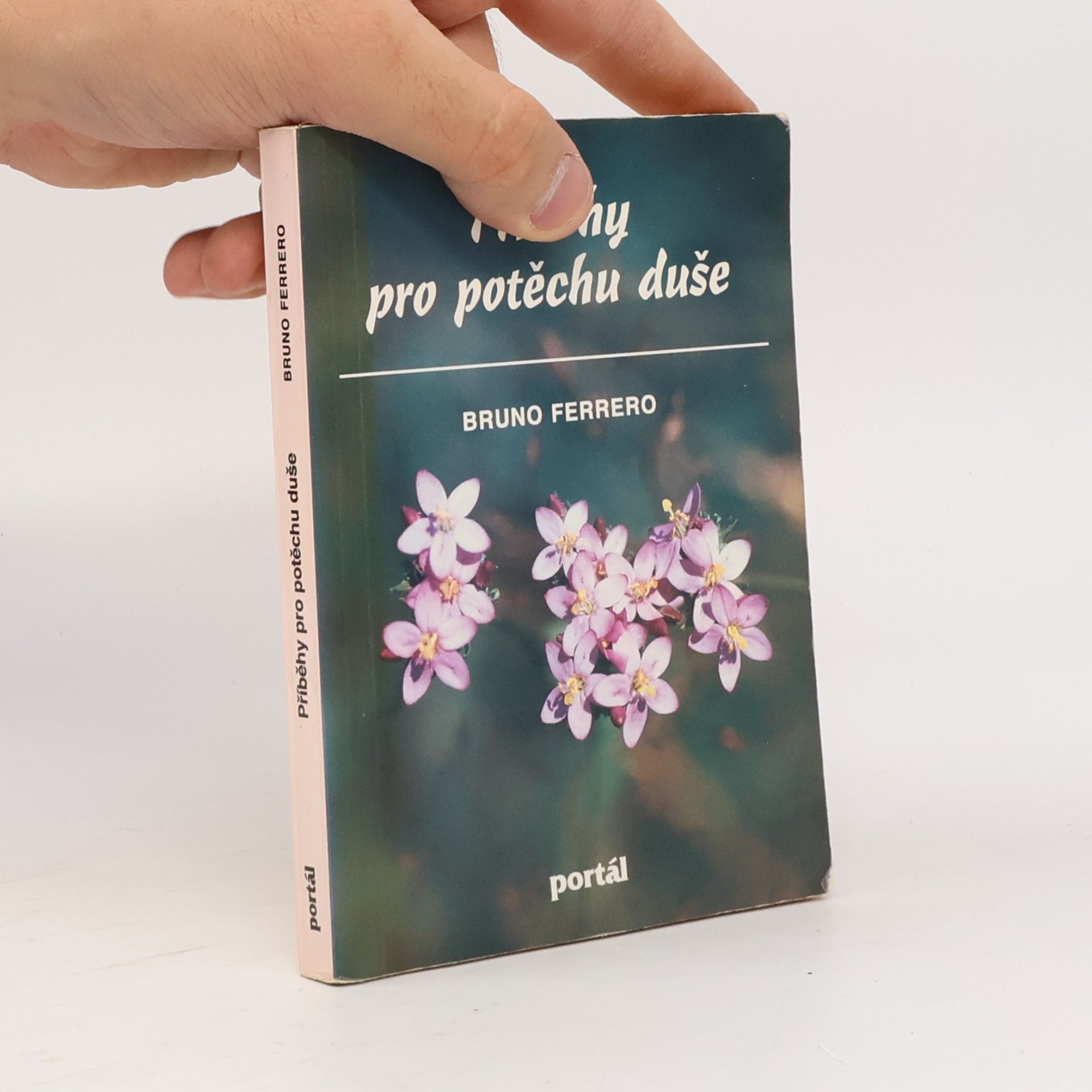 Bruno Ferrero Příběhy pro potěchu duše