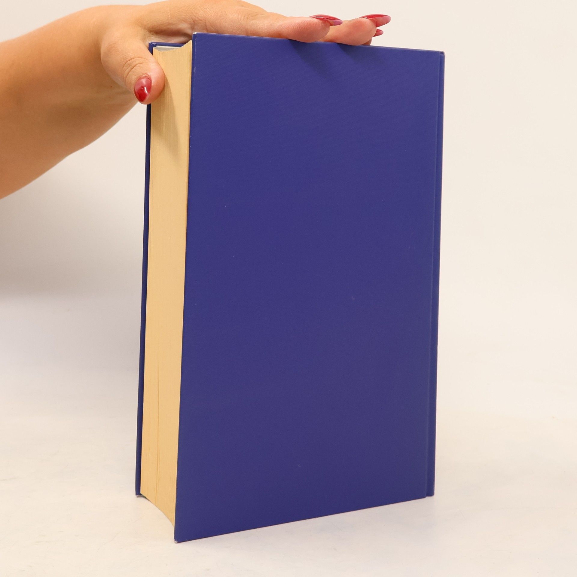Ilja Mieck Handbuch der europäischen Wirtschaftsgeschichte und Sozialgeschichte, 6 Bde., Bd.4, Europäische Wirtschaftsgeschichte und Sozialgeschichte von der Mit ... . Jahrhunderts bis zur Mitte des 19. Jahrhund