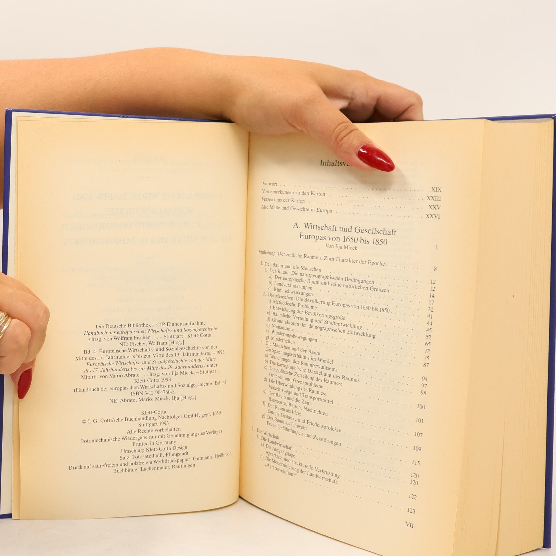 Ilja Mieck Handbuch der europäischen Wirtschaftsgeschichte und Sozialgeschichte, 6 Bde., Bd.4, Europäische Wirtschaftsgeschichte und Sozialgeschichte von der Mit ... . Jahrhunderts bis zur Mitte des 19. Jahrhund