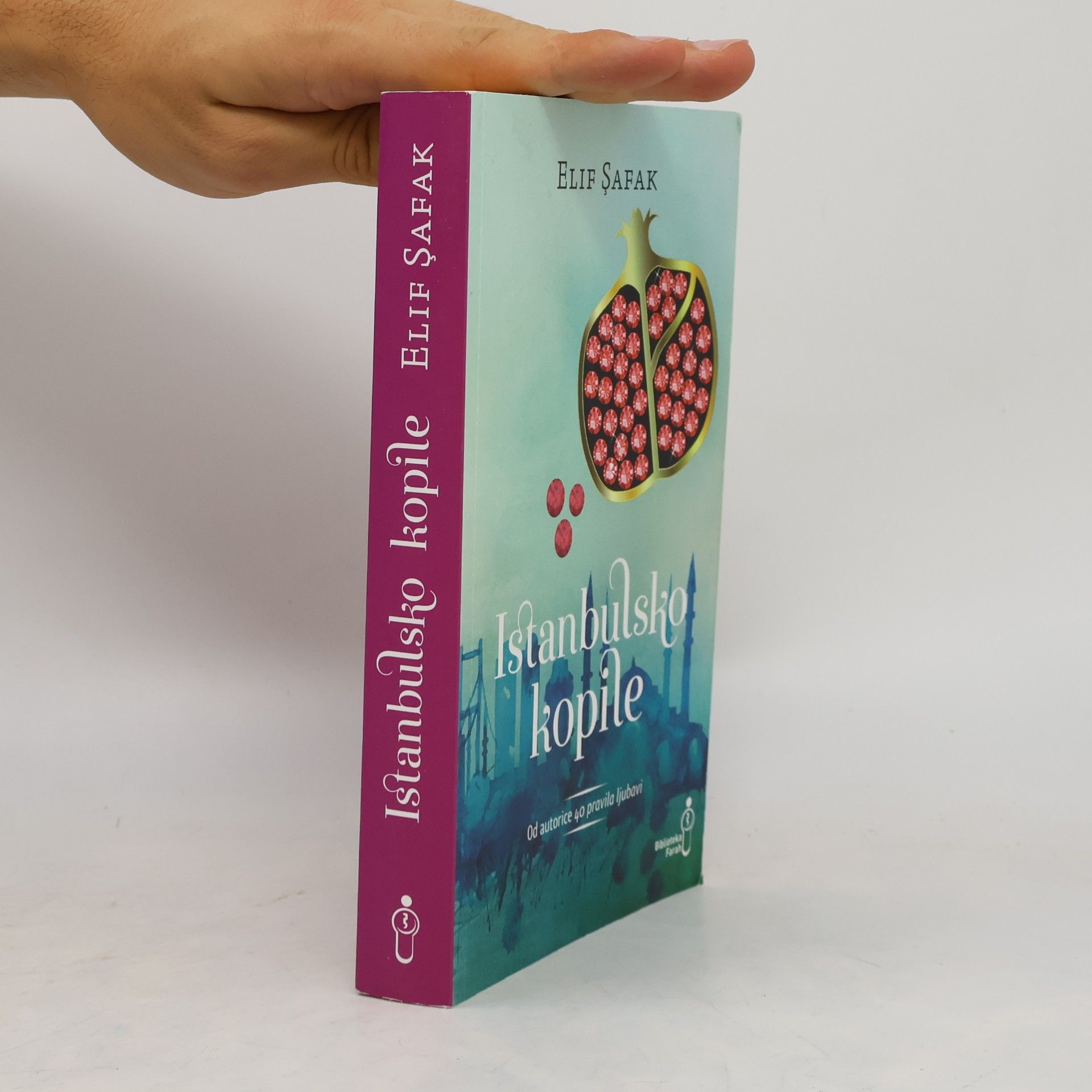 Elif Shafak Istanbulsko kopile