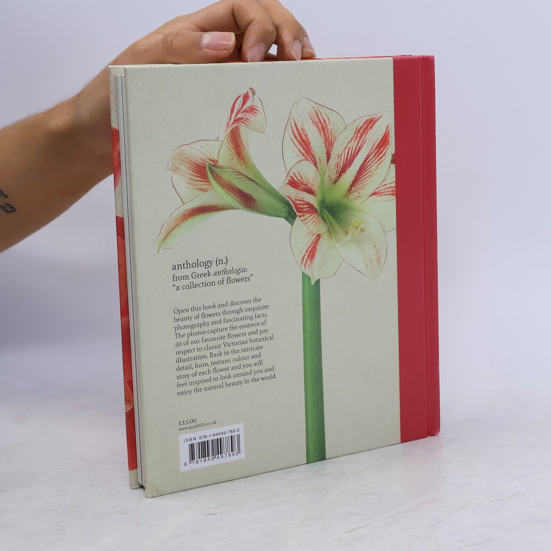 Jane Field-Lewis Anthology of Flowers