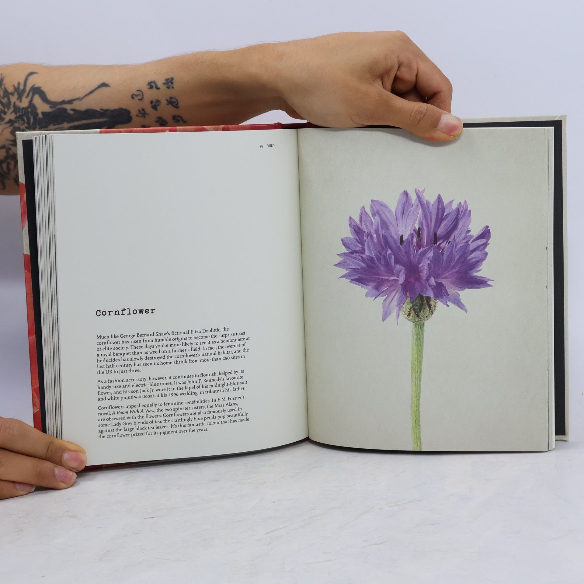Jane Field-Lewis Anthology of Flowers