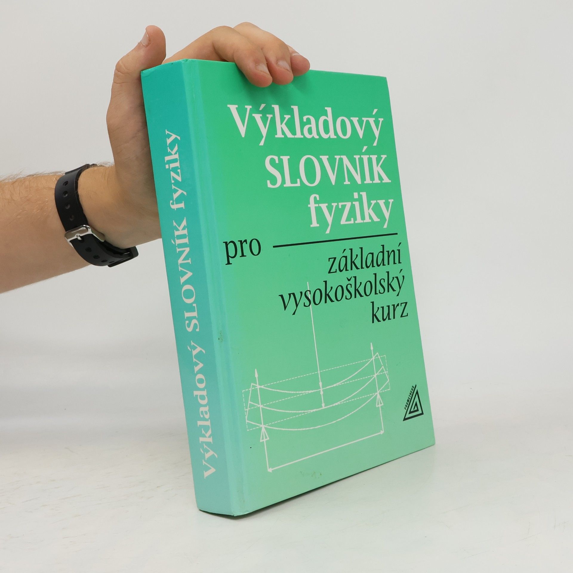 Erika Mechlová Výkladový slovník fyziky pro základní vysokoškolský kurz