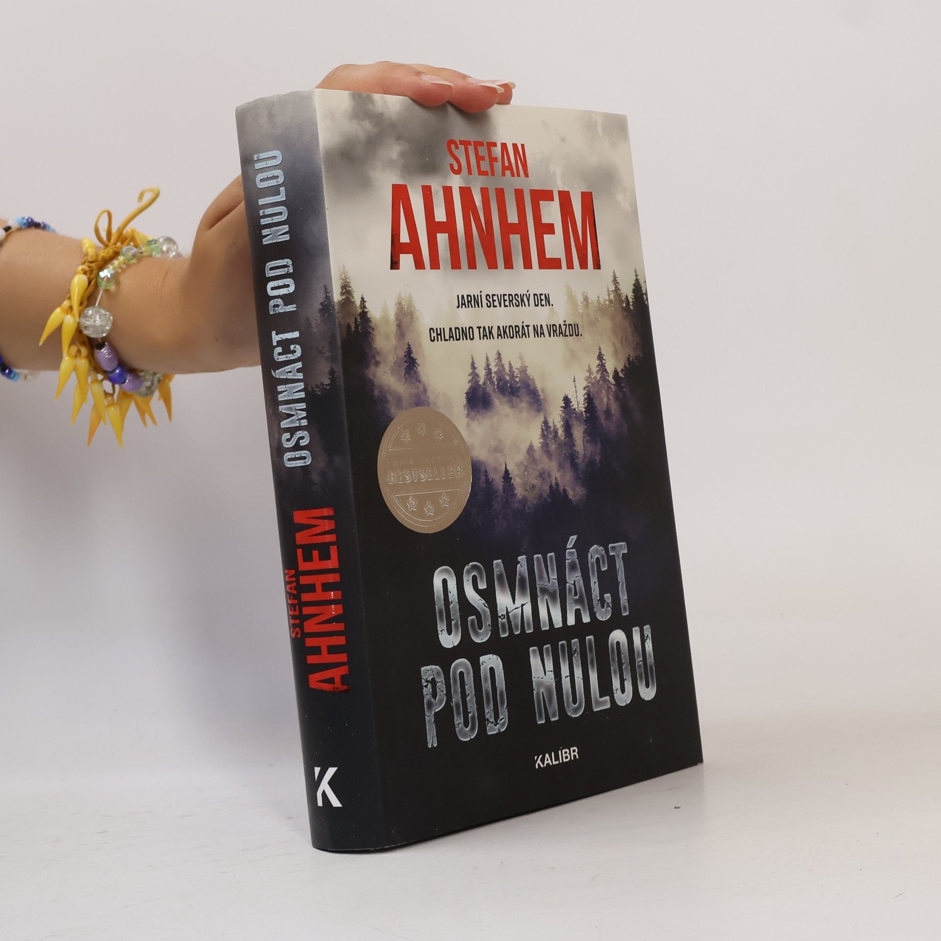 Stefan Ahnhem Osmnáct pod nulou