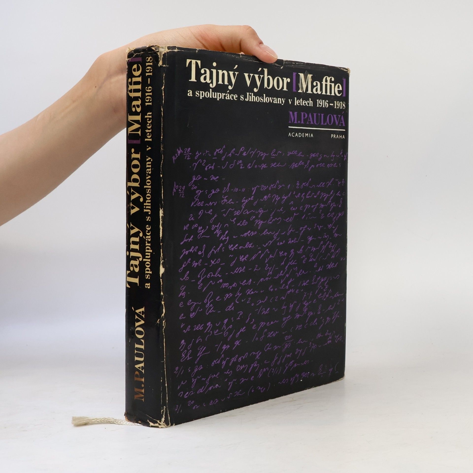 Milada Paulová Tajný výbor (MAFFIE) a spolupráce s Jihoslovany v letech 1916-1918