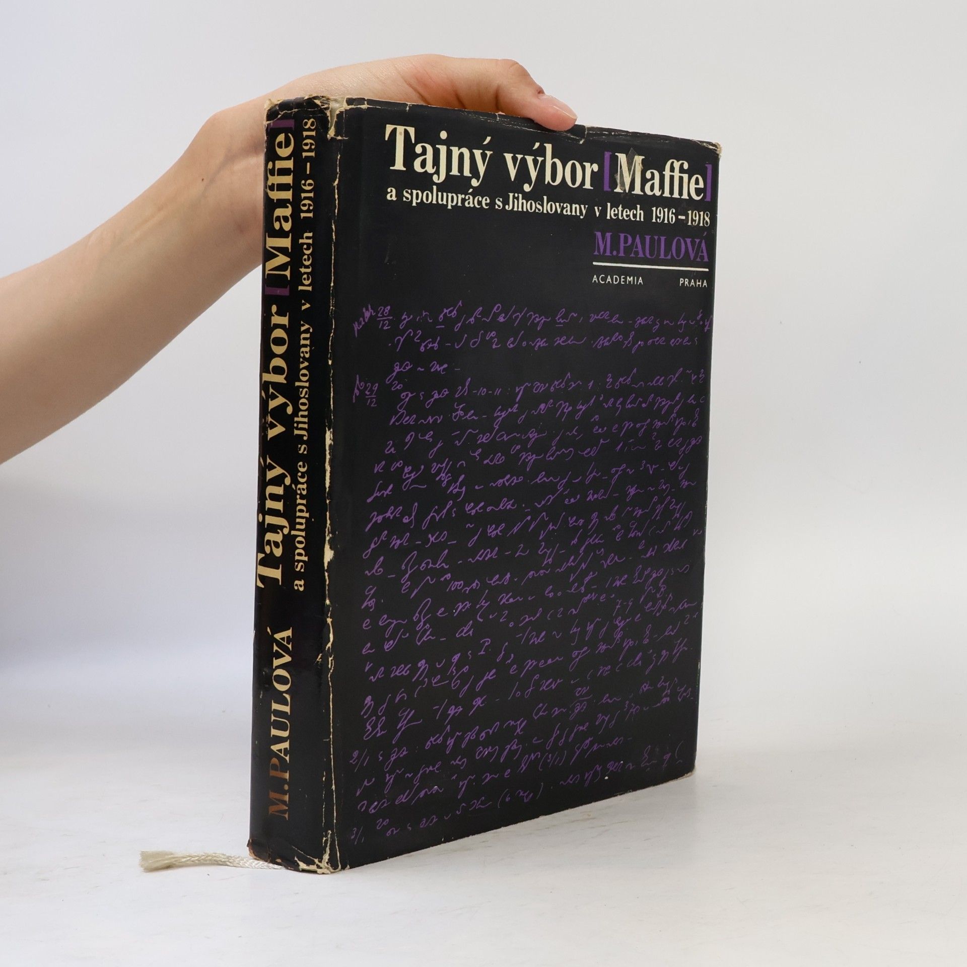 Milada Paulová Tajný výbor (MAFFIE) a spolupráce s Jihoslovany v letech 1916-1918