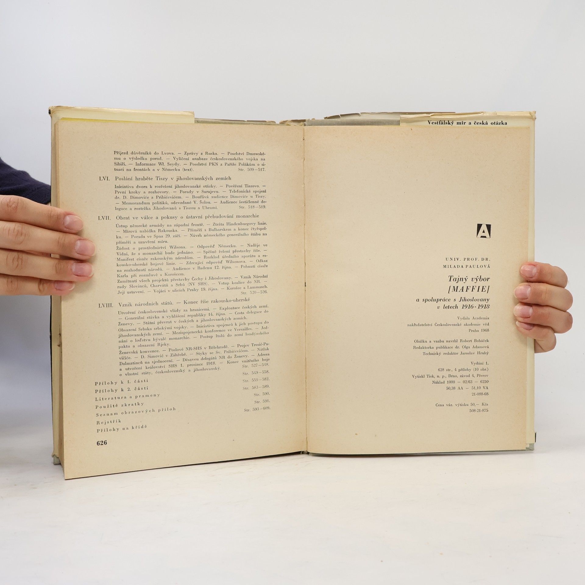 Milada Paulová Tajný výbor (MAFFIE) a spolupráce s Jihoslovany v letech 1916-1918