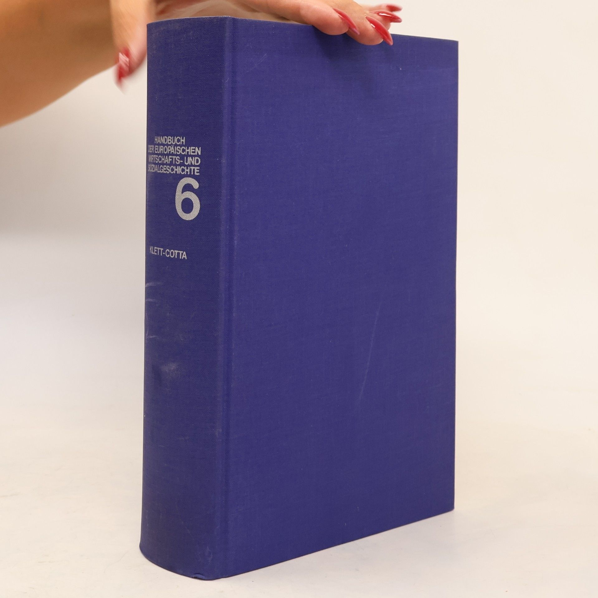 Handbuch der europäischen Wirtschafts- und Sozialgeschichte 6
