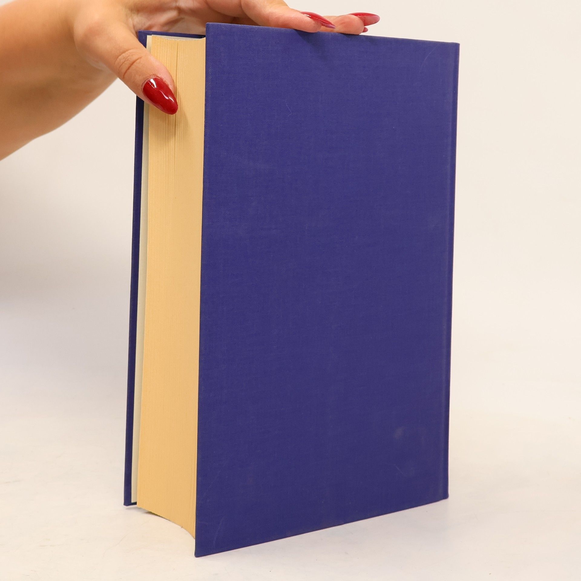 Wolfram Fischer Handbuch der europäischen Wirtschafts- und Sozialgeschichte 6