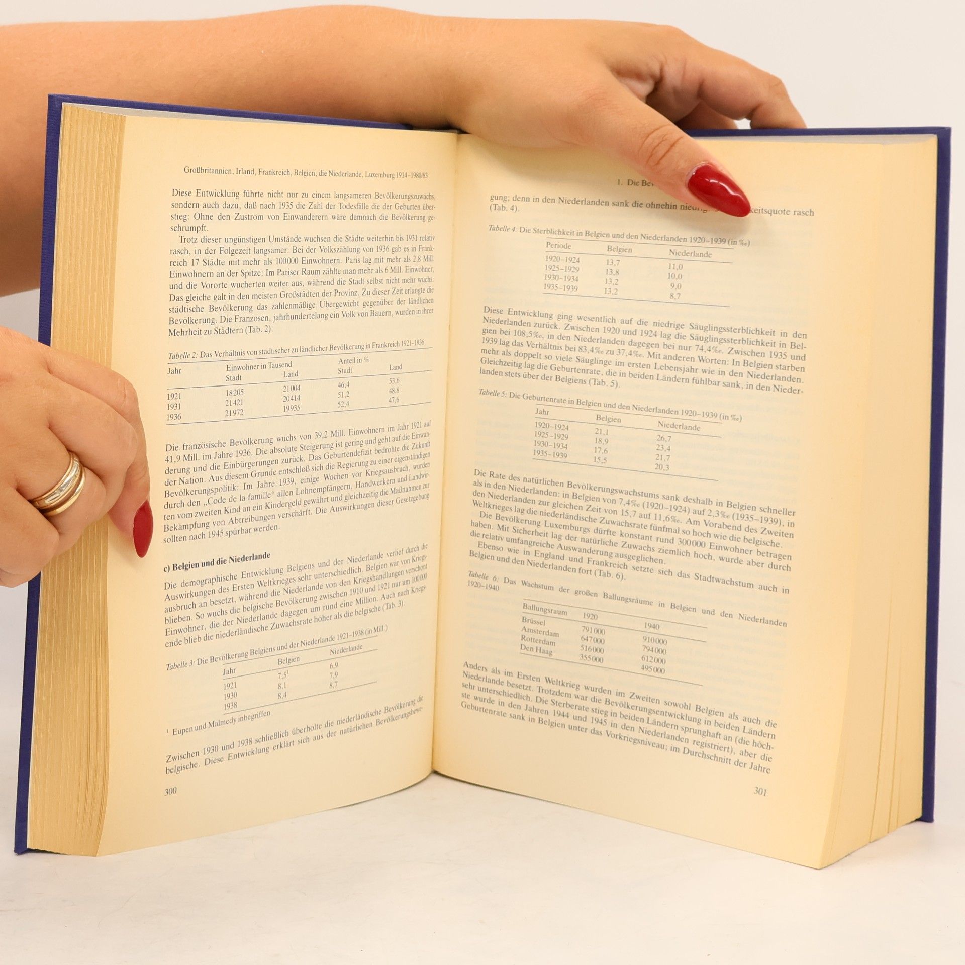 Wolfram Fischer Handbuch der europäischen Wirtschafts- und Sozialgeschichte 6