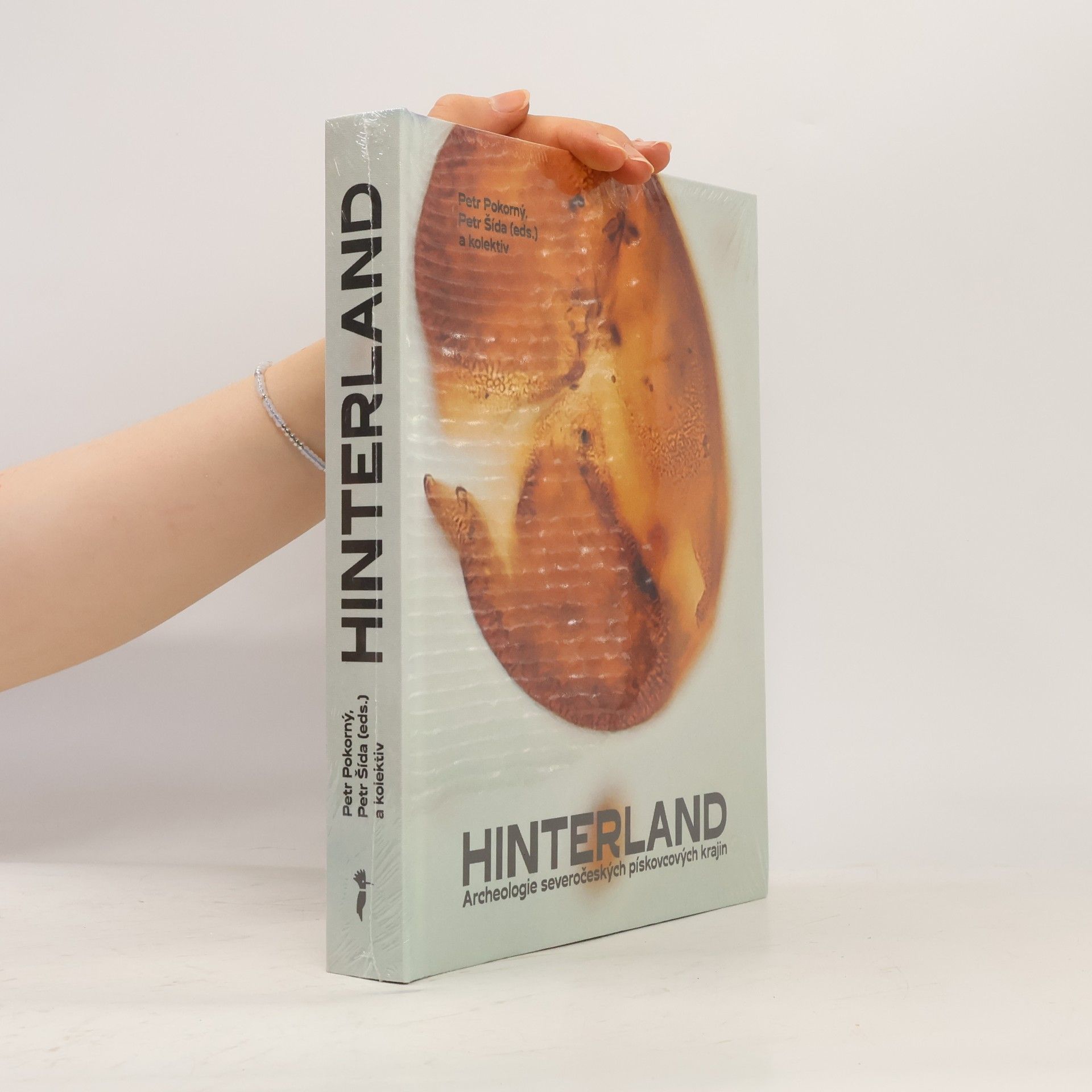 Hinterland. Archeologie severočeských pískovcových krajin